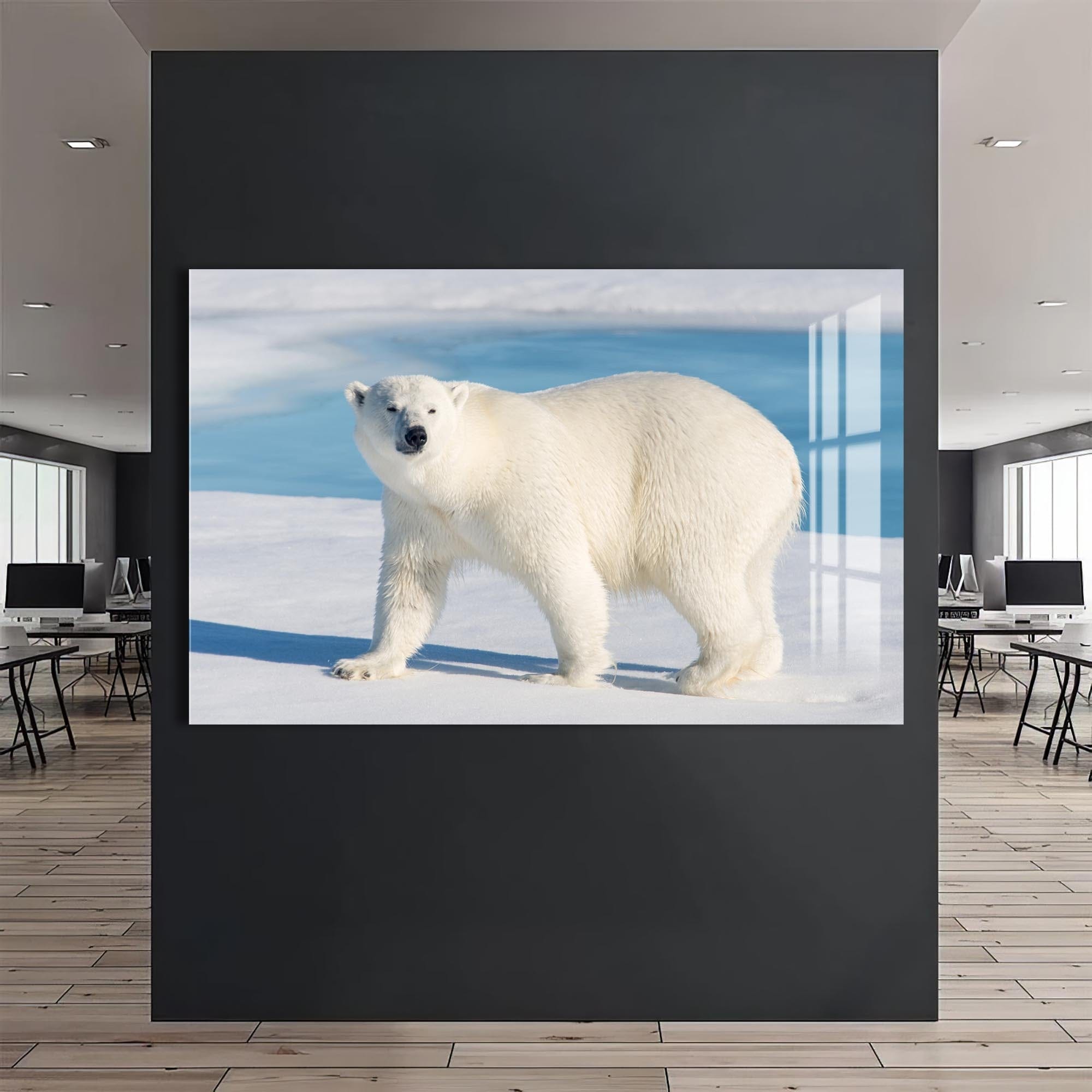 Artronauts Glass Print Polar Bear on Arctic Snow – Animal Tempered Glass Wall Art