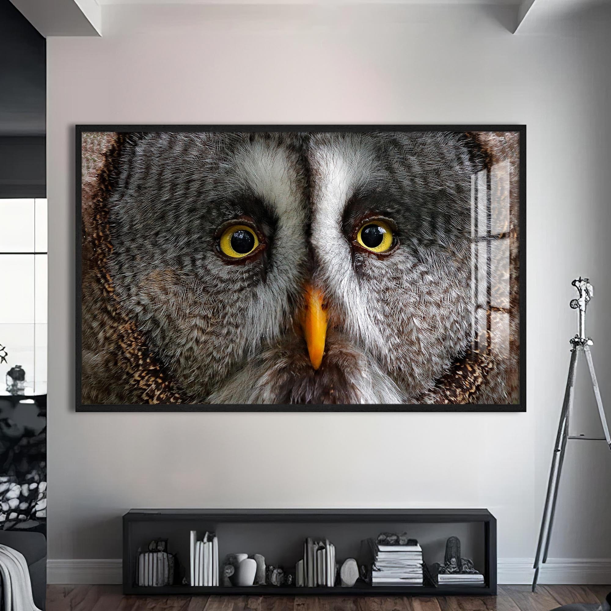 Artronauts Glass Print S | 72x46 cm | 28.3"x18.1" / Black Grey Owl Portrait – Animal Tempered Glass Wall Art