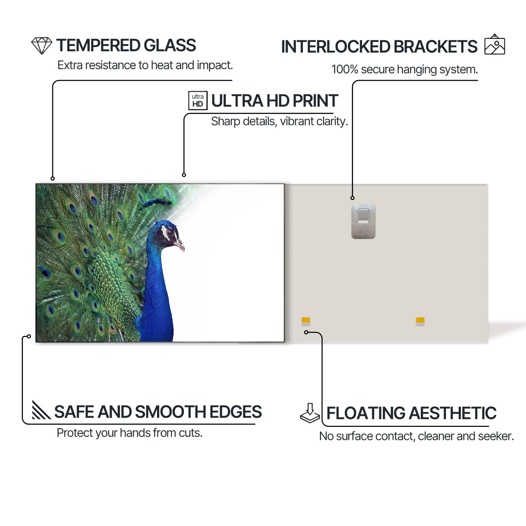 Artronauts Glass Print White Peacock Elegance – Animal Tempered Glass Wall Art