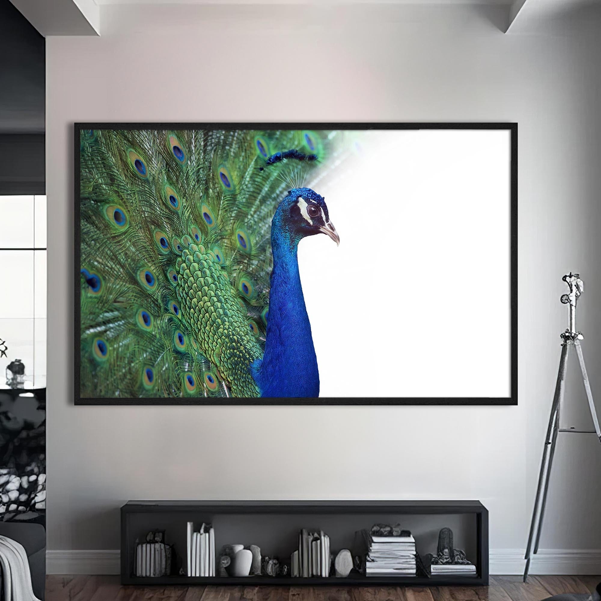 Artronauts Glass Print S | 72x46 cm | 28.3"x18.1" / Black White Peacock Elegance – Animal Tempered Glass Wall Art