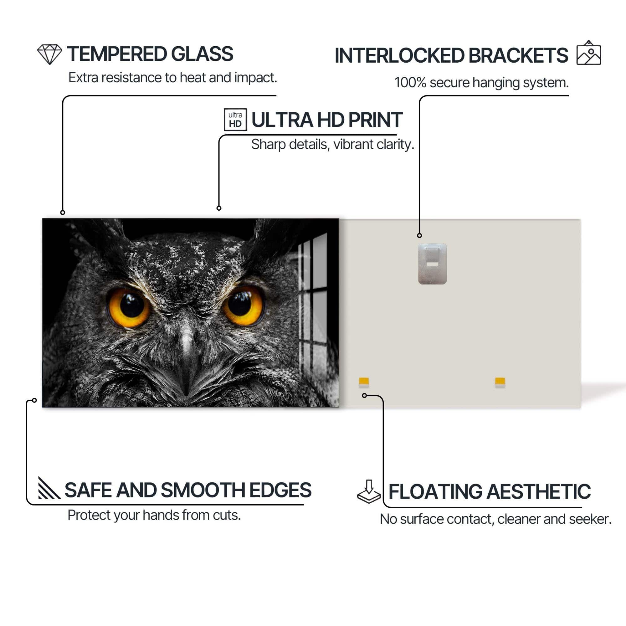 Artronauts Glass Print Owl Gaze – Animal Tempered Glass Wall Art
