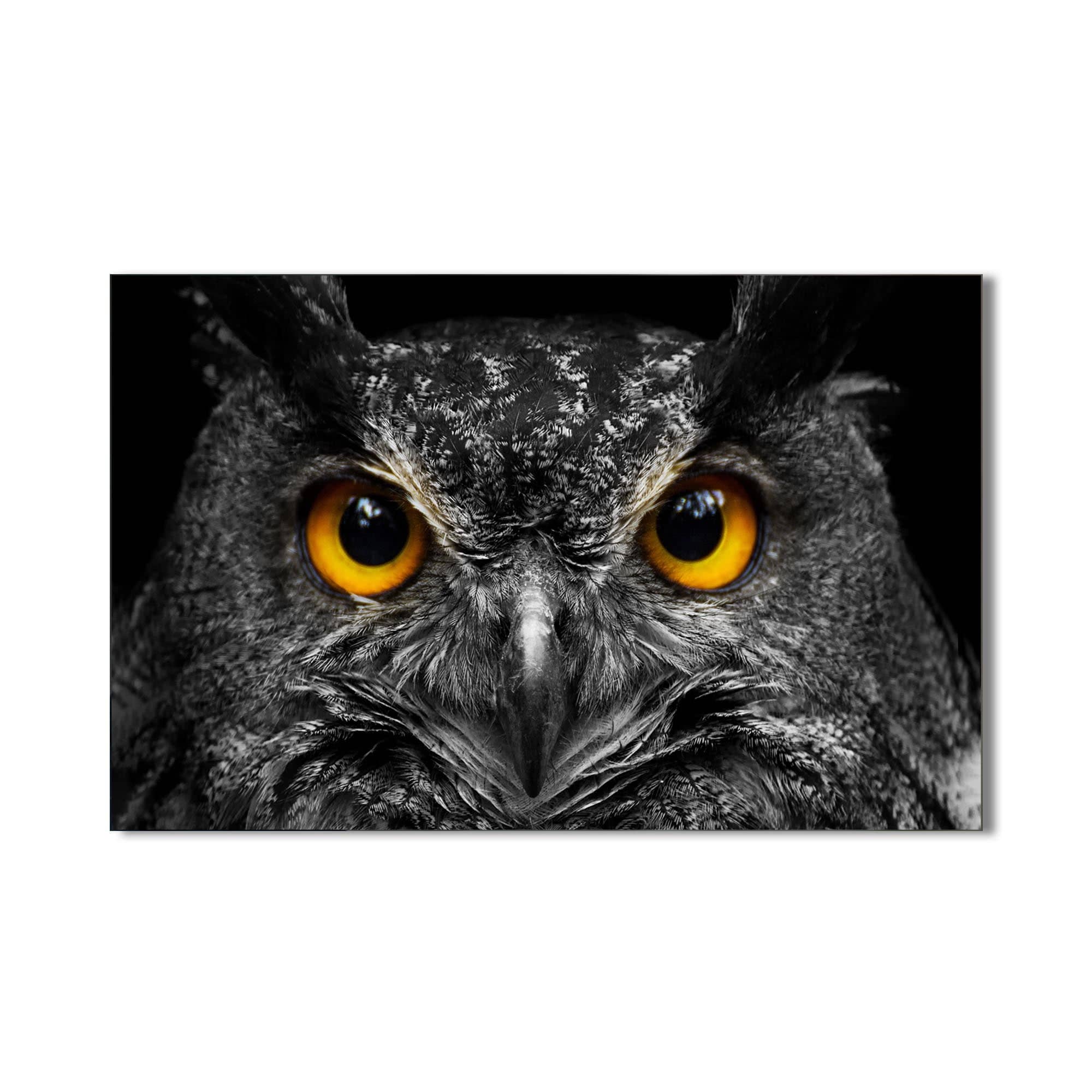 Artronauts Glass Print Owl Gaze – Animal Tempered Glass Wall Art
