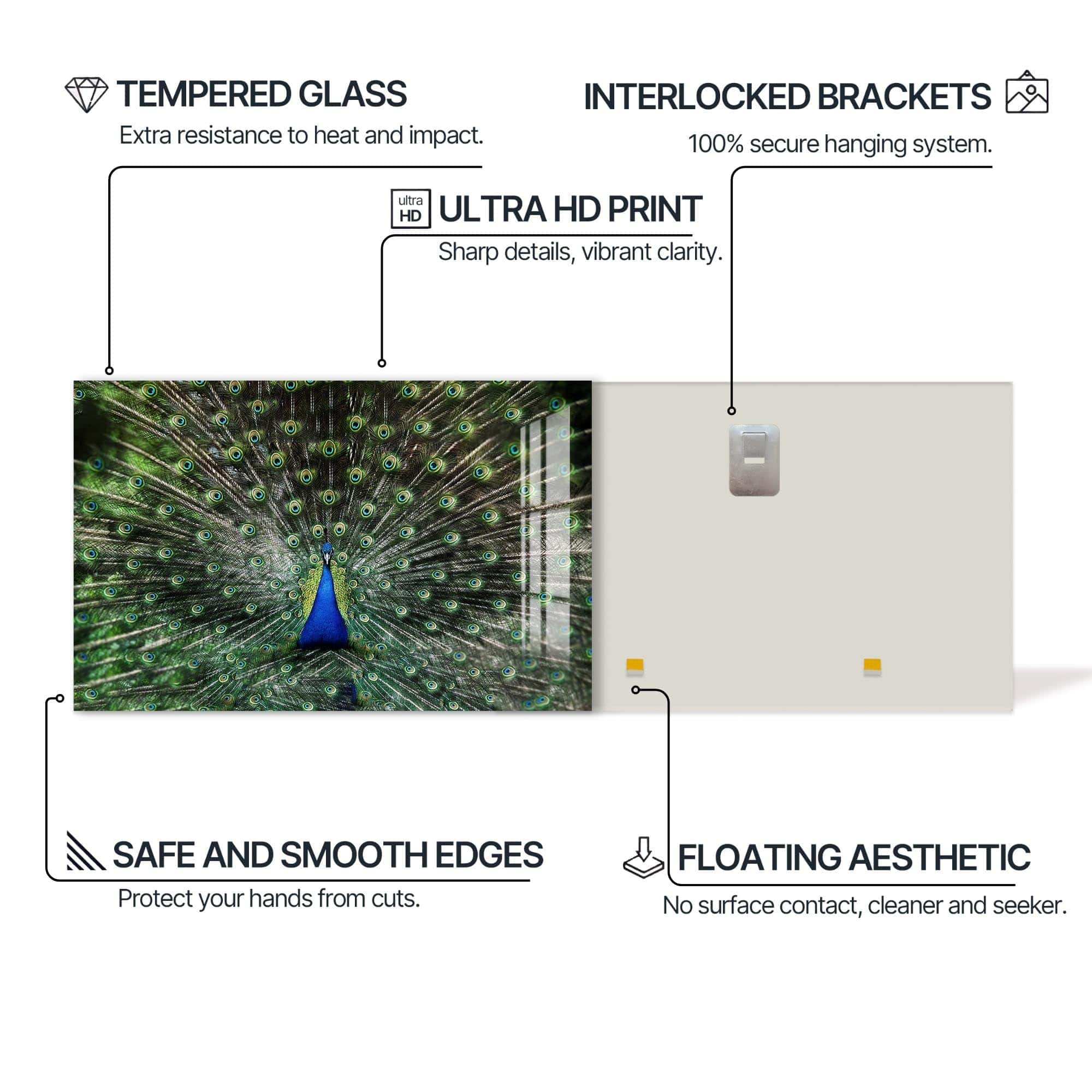 Artronauts Glass Print Peacock Feathers Spread – Animal Tempered Glass Wall Art