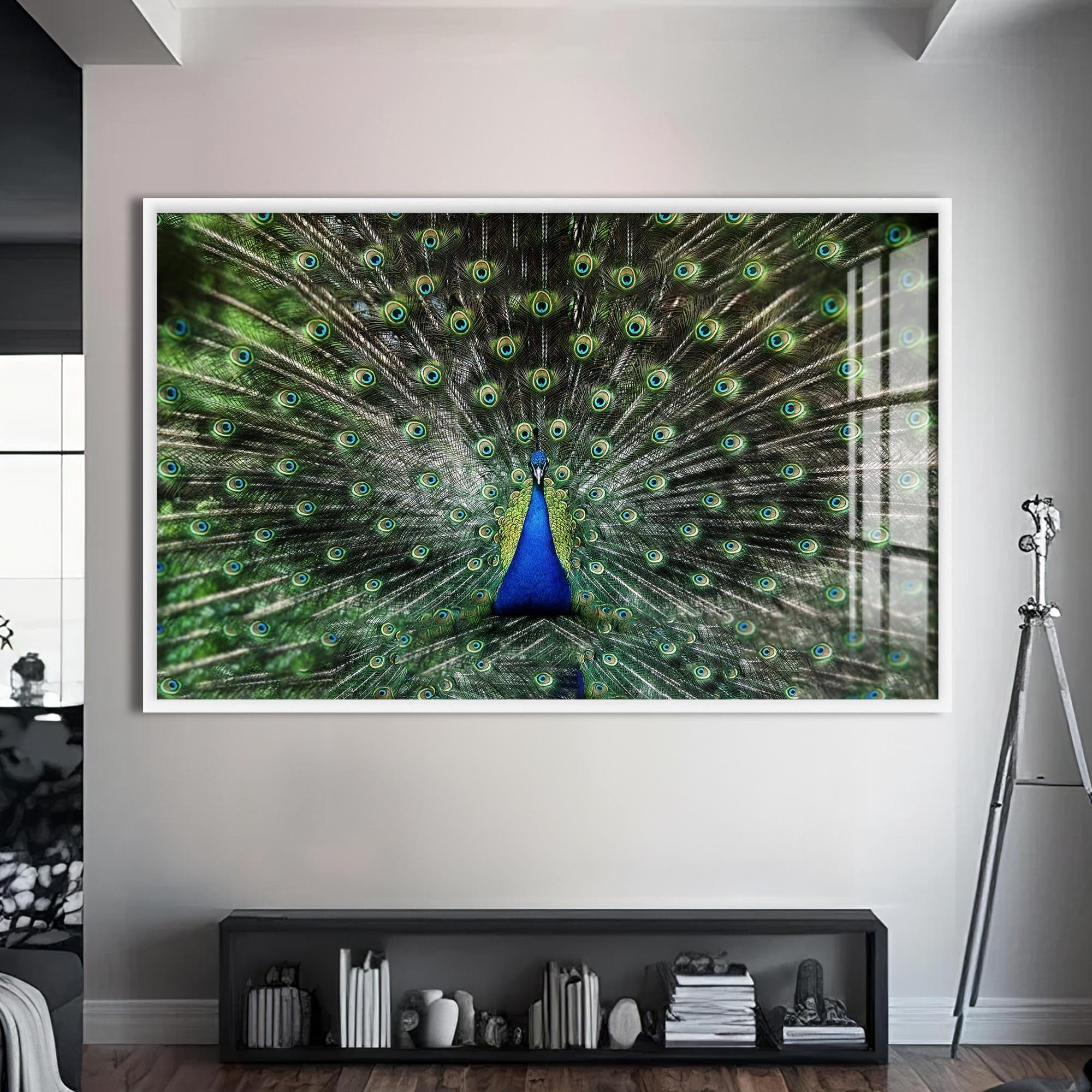 Artronauts Glass Print S | 72x46 cm | 28.3"x18.1" / White Peacock Feathers Spread – Animal Tempered Glass Wall Art