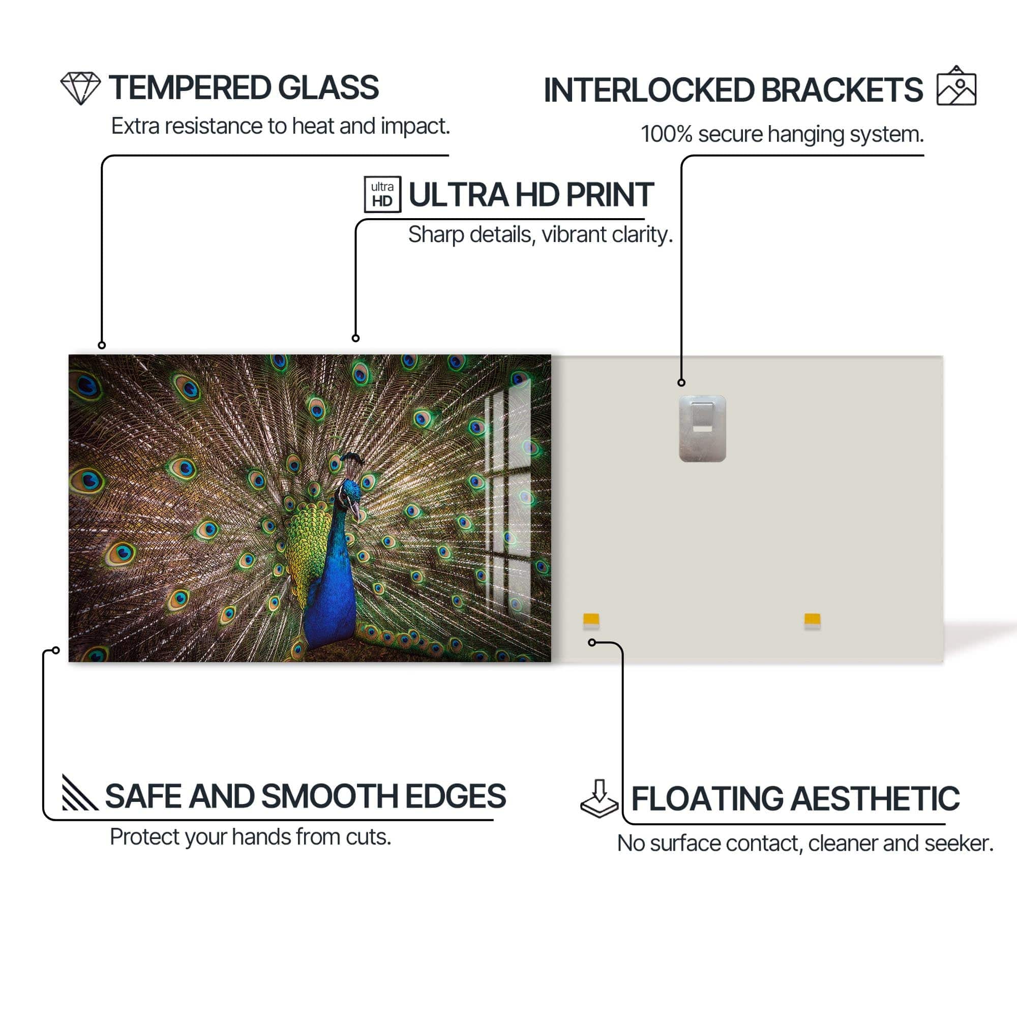 Artronauts Glass Print Majestic Peacock Display – Animal Tempered Glass Wall Art