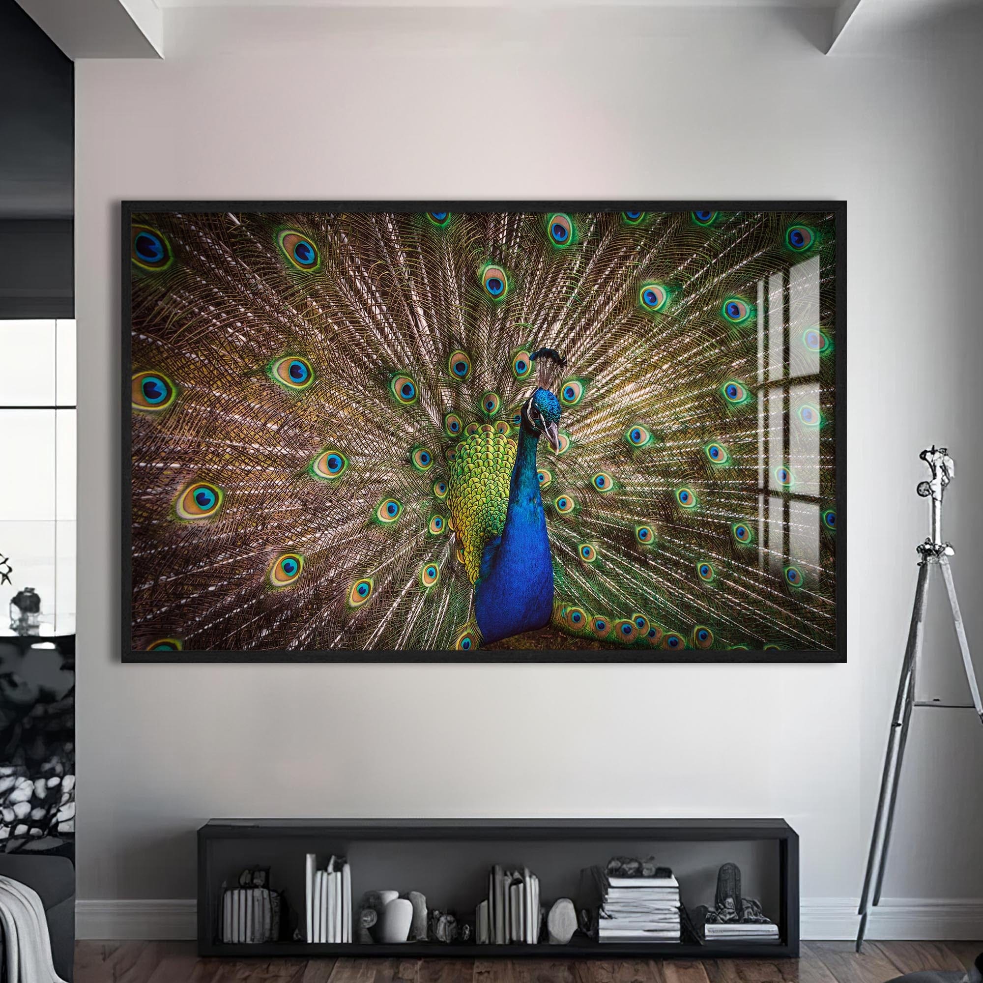 Artronauts Glass Print S | 72x46 cm | 28.3"x18.1" / Black Majestic Peacock Display – Animal Tempered Glass Wall Art