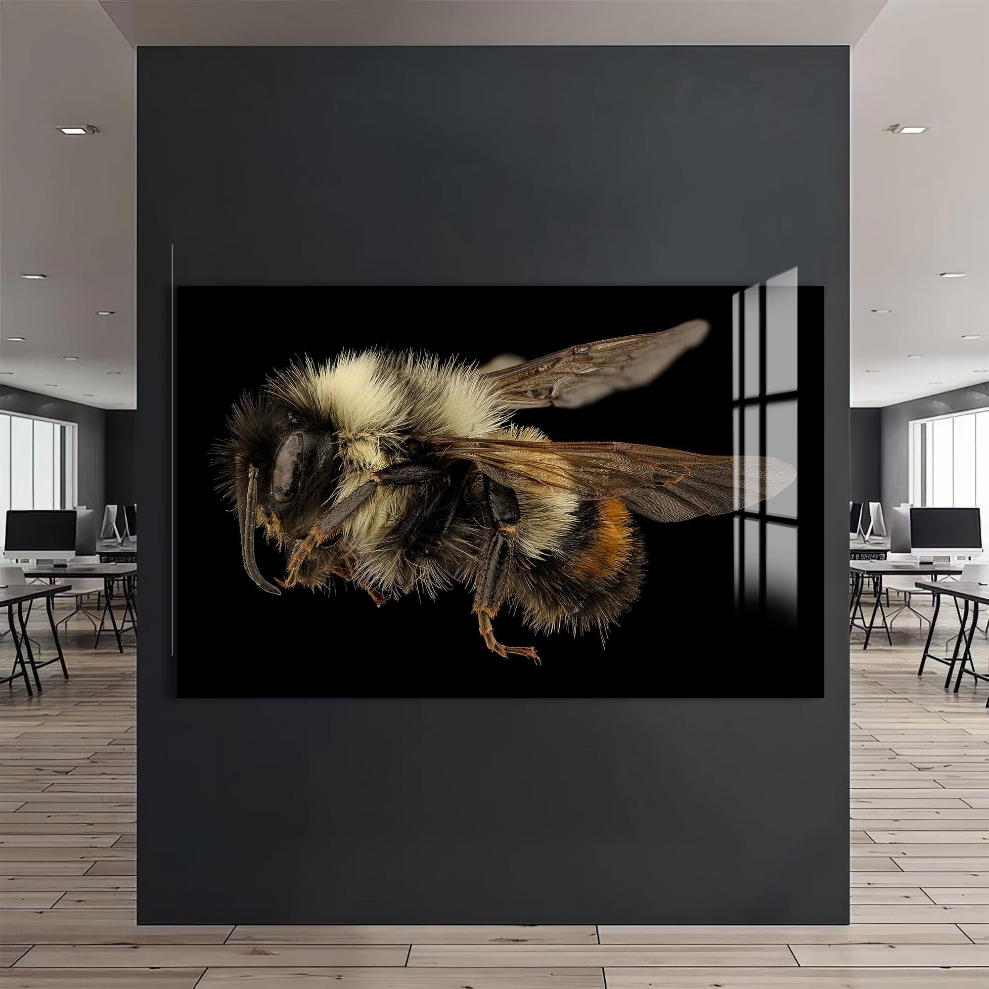 Artronauts Glass Print Fuzzy Bumblebee Macro – Animal Tempered Glass Wall Art