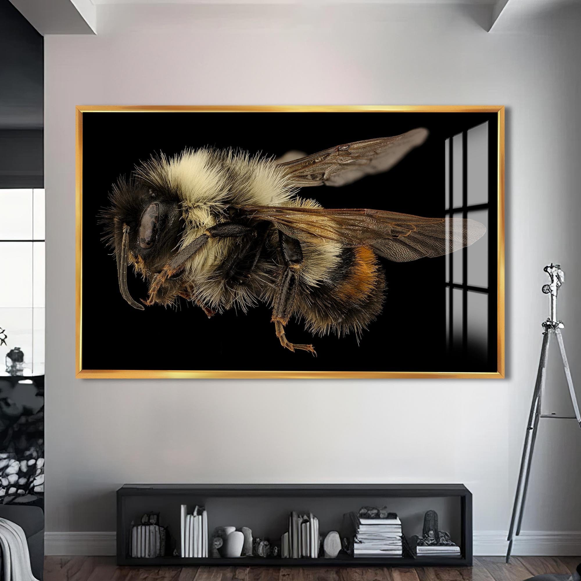 Artronauts Glass Print S | 72x46 cm | 28.3"x18.1" / Gold Fuzzy Bumblebee Macro – Animal Tempered Glass Wall Art