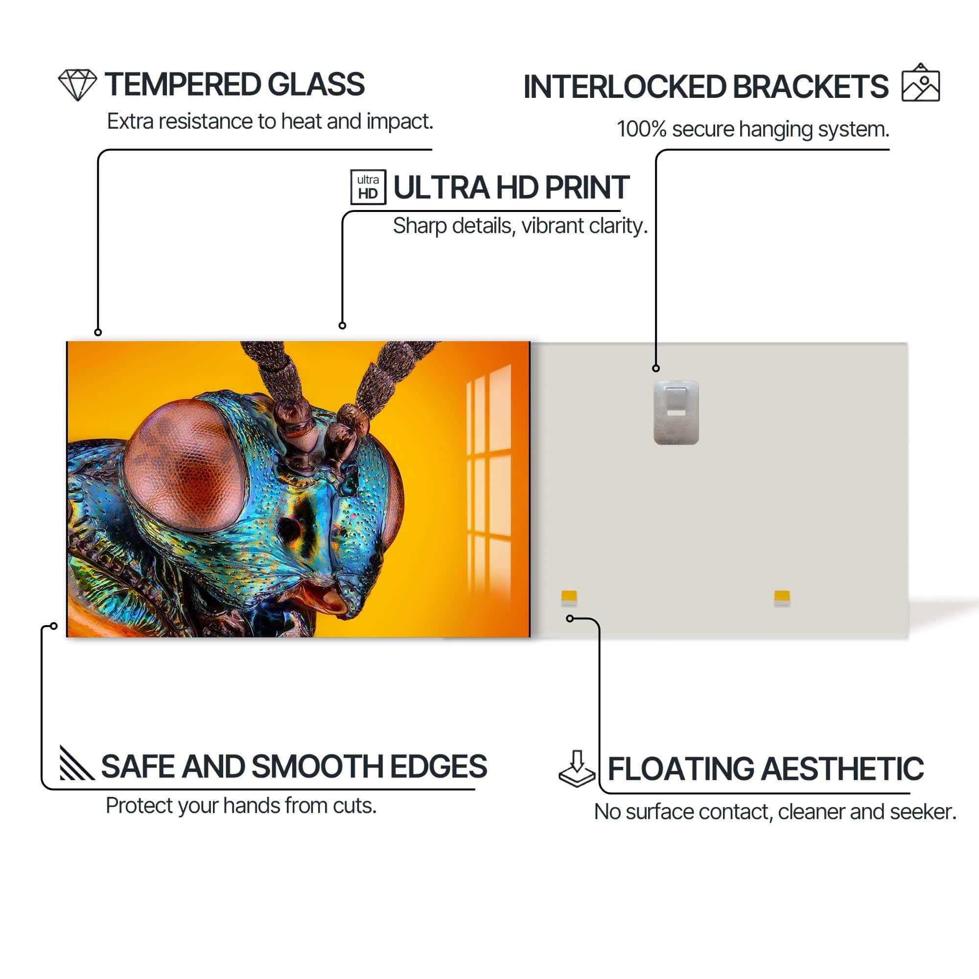 Artronauts Glass Print Metallic Beetle Spectrum – Animal Tempered Glass Wall Art