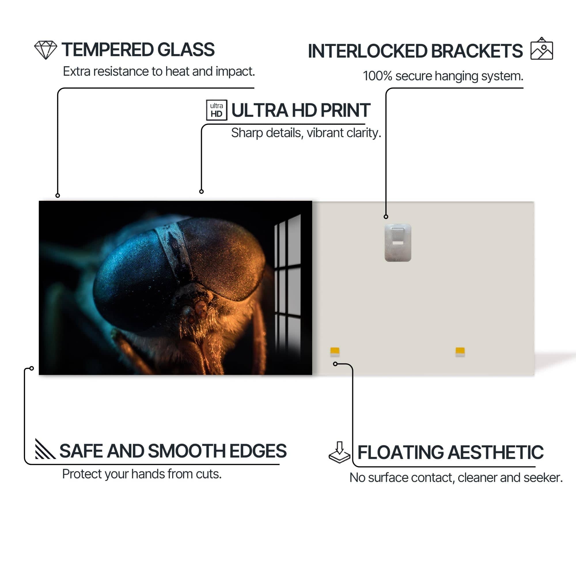 Artronauts Glass Print Dual-Tone Fly Close-Up – Animal Tempered Glass Wall Art