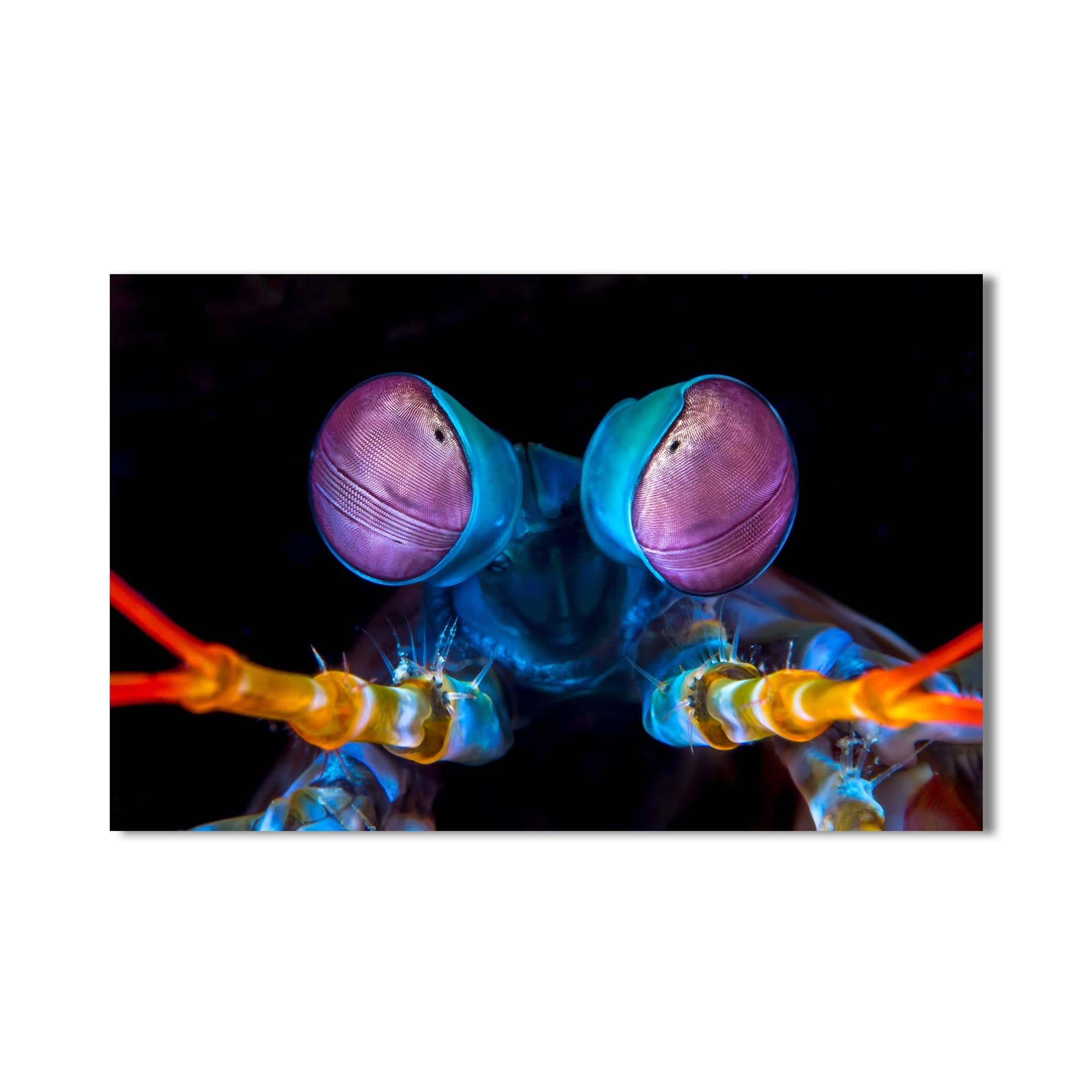 Artronauts Glass Print Neon Mantis Strike – Animal Tempered Glass Wall Art