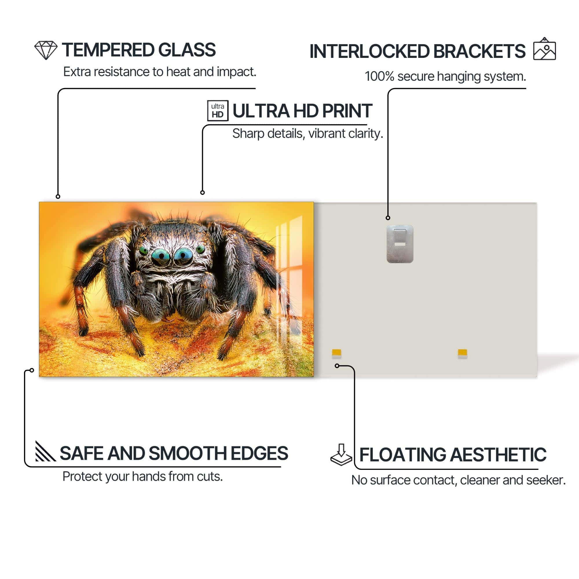 Artronauts Glass Print Vibrant Jumping Spider – Animal Tempered Glass Wall Art