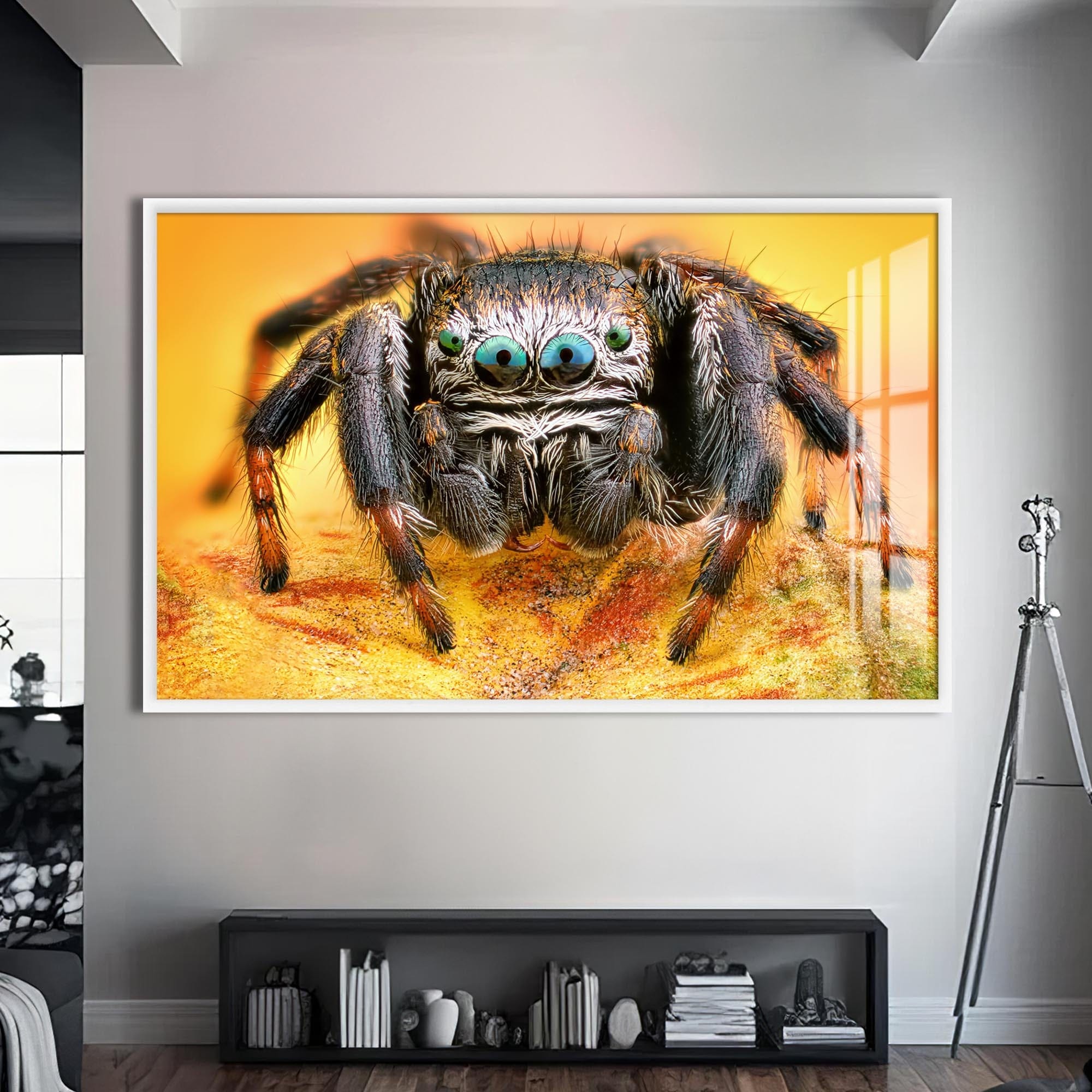 Artronauts Glass Print S | 72x46 cm | 28.3"x18.1" / White Vibrant Jumping Spider – Animal Tempered Glass Wall Art
