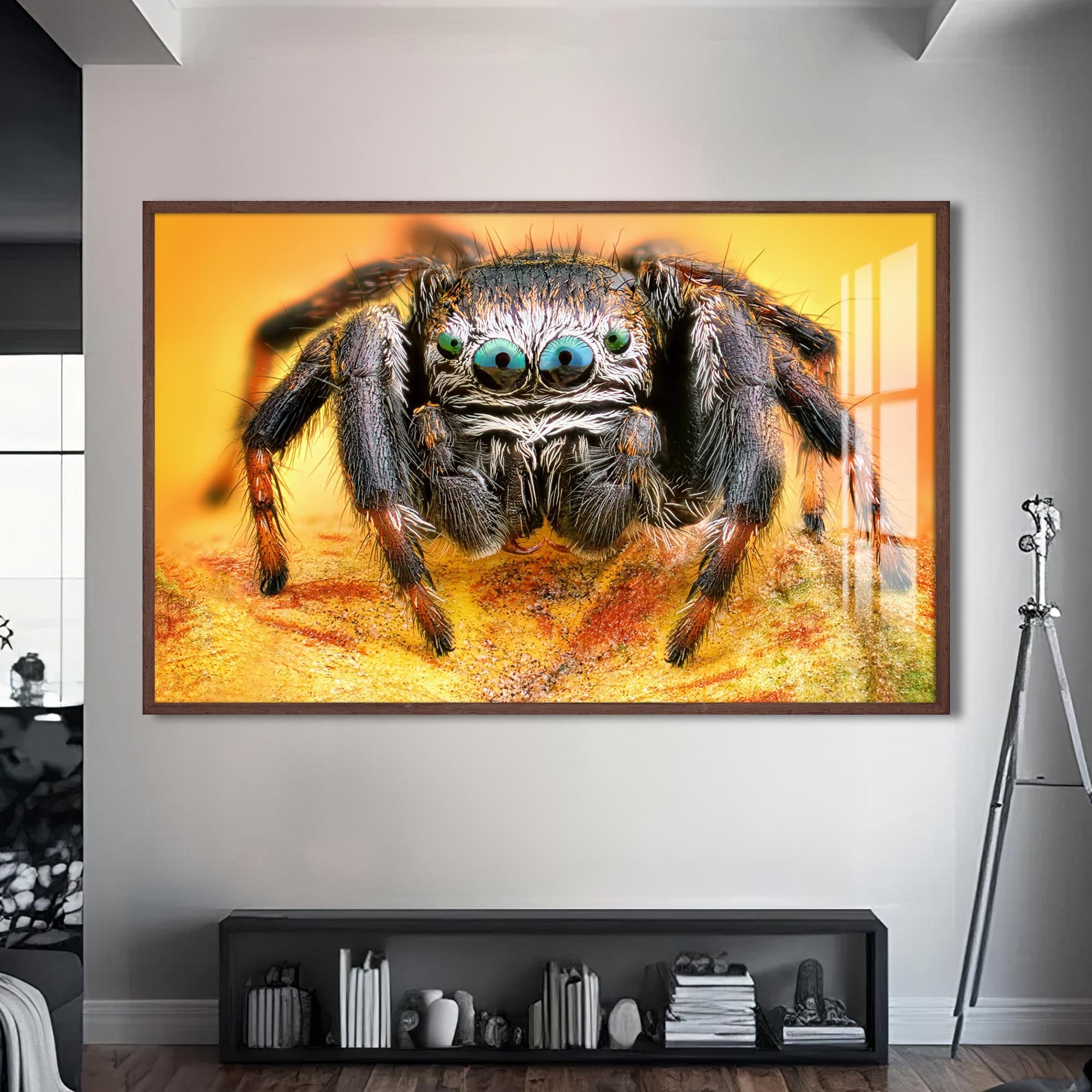 Artronauts Glass Print S | 72x46 cm | 28.3"x18.1" / Walnut Vibrant Jumping Spider – Animal Tempered Glass Wall Art