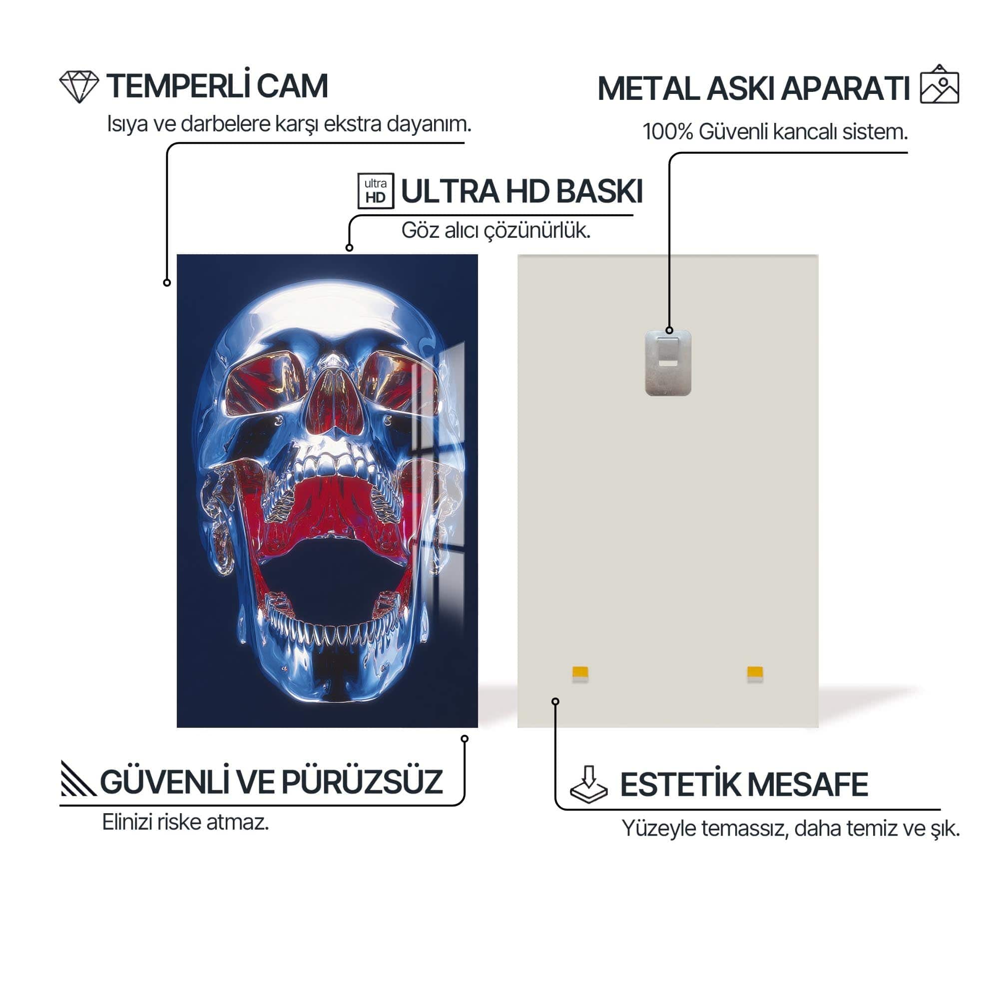 Artronauts Glass Print Chrome Skull Anatomy - Tempered Glass Wall Art