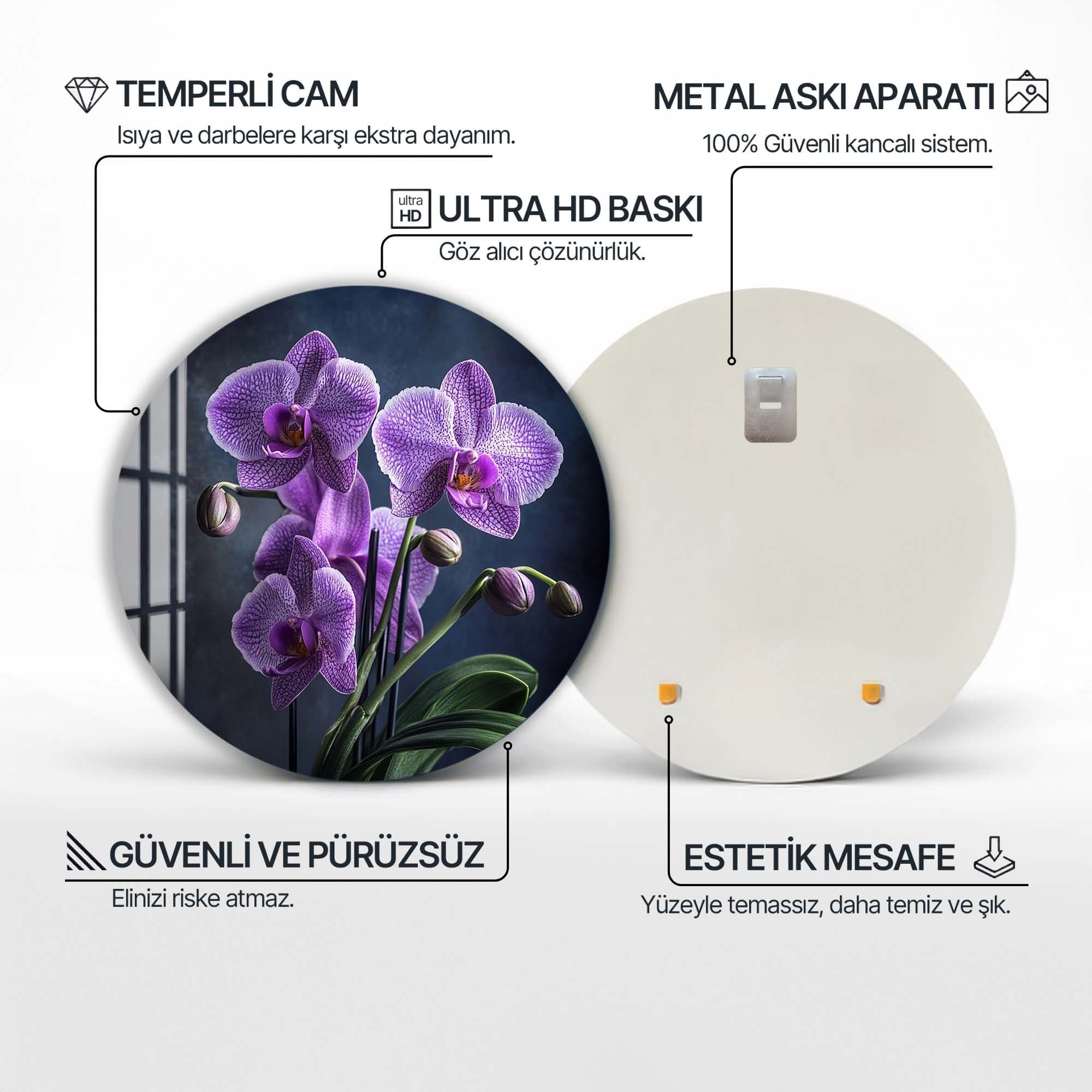 Artronauts Glass Print Roselle - Rounded Glass Wall Art