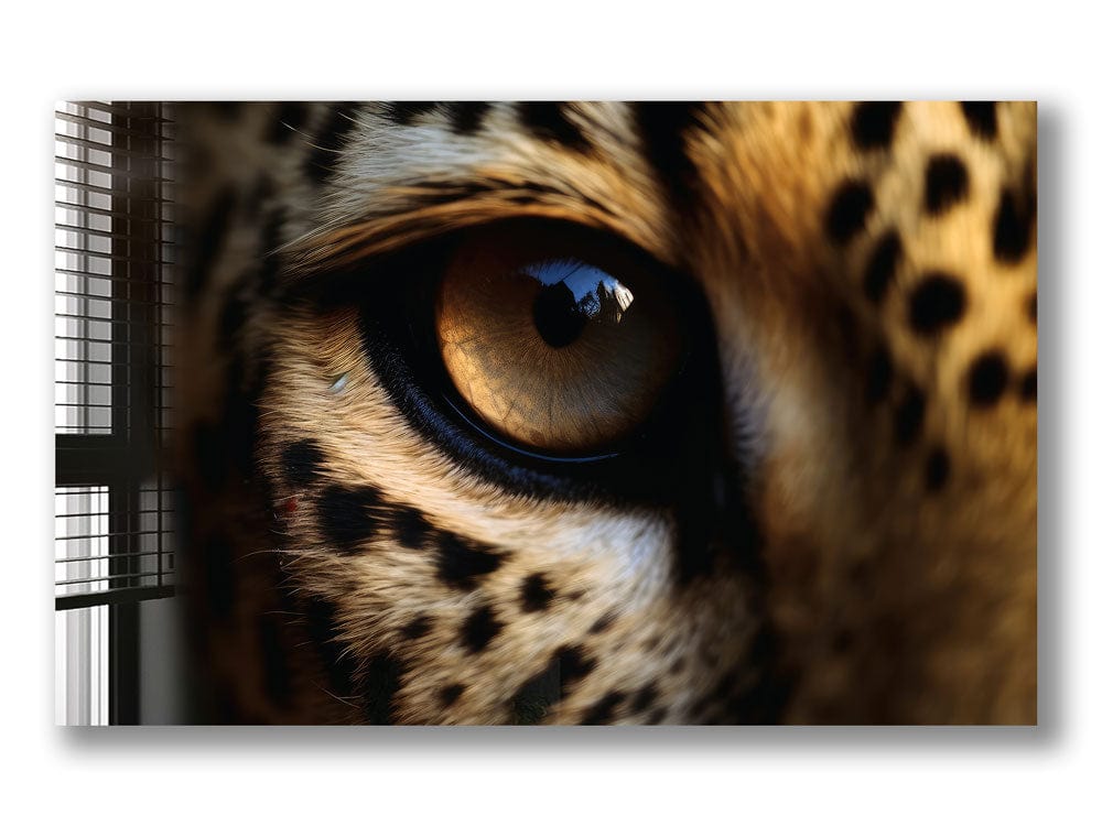 Artronauts Glass Print Leopard Eye