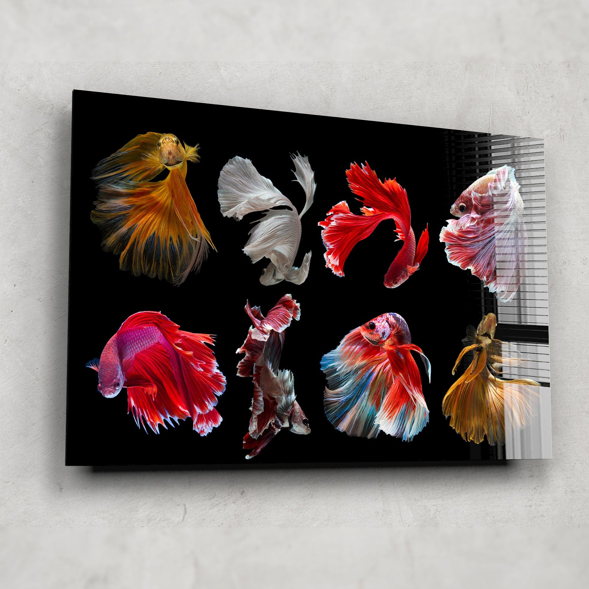 Artronauts Glass Print Betta Fishes
