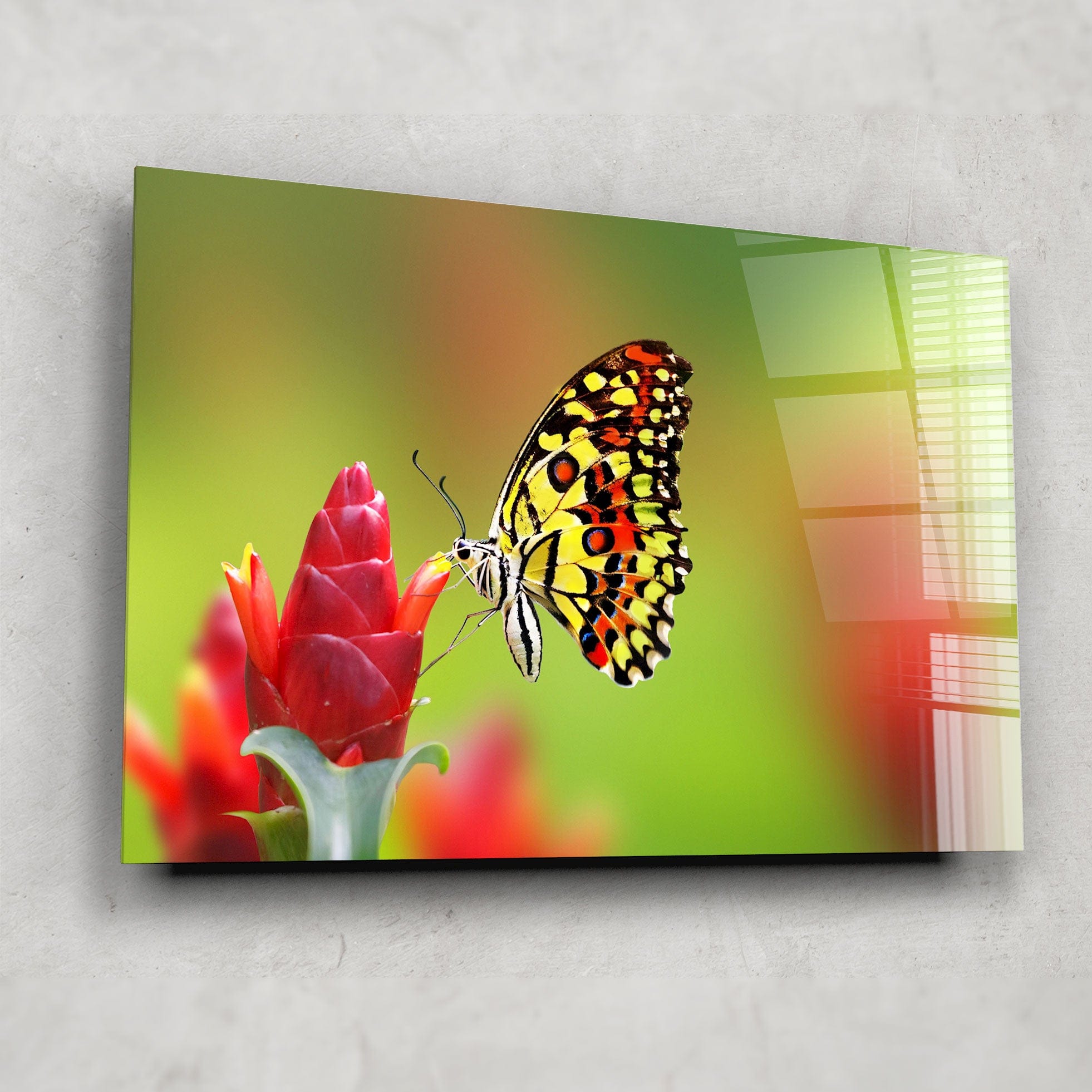 Artronauts Glass Print Lovely Butterfly