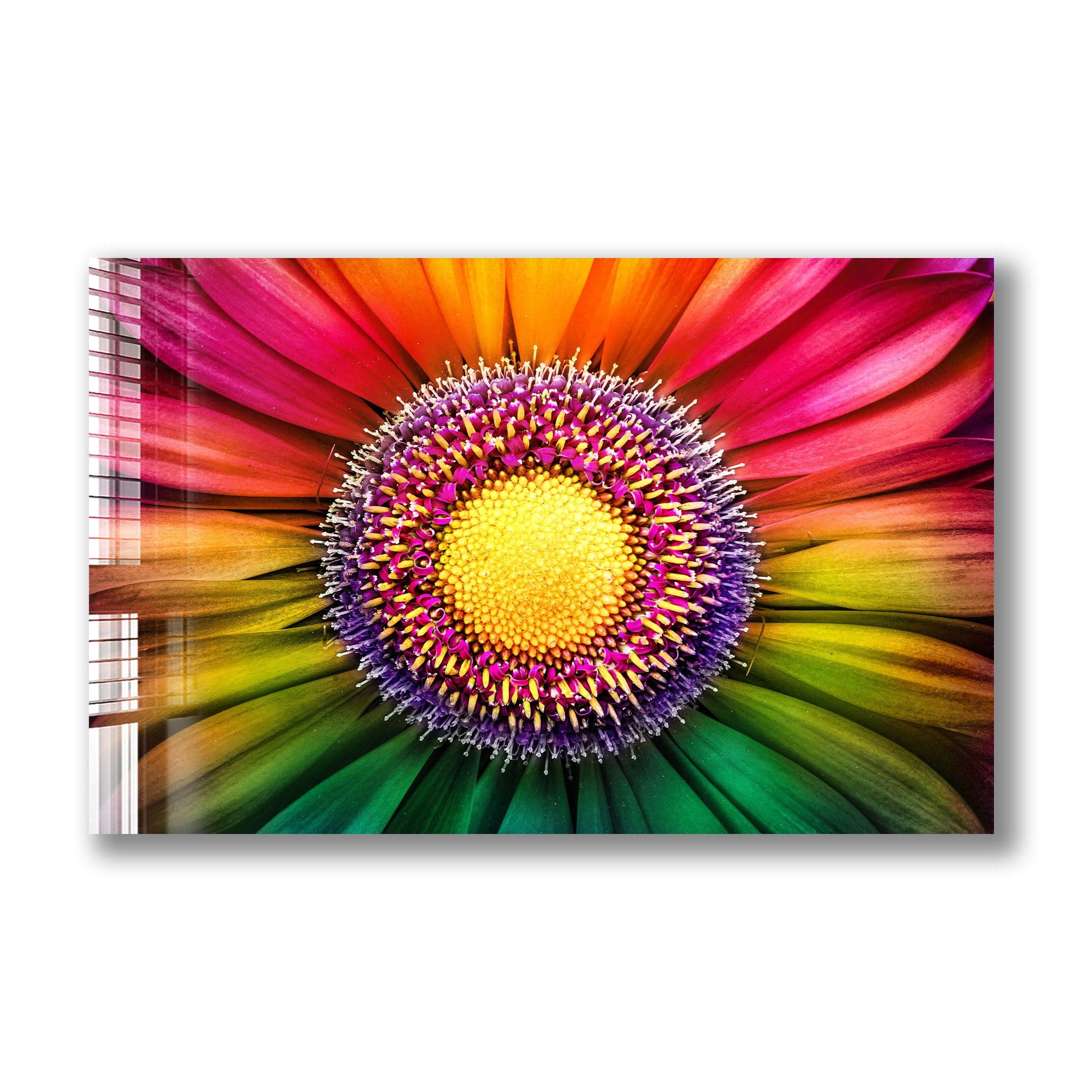 Artronauts Glass Print Gerbera Flower