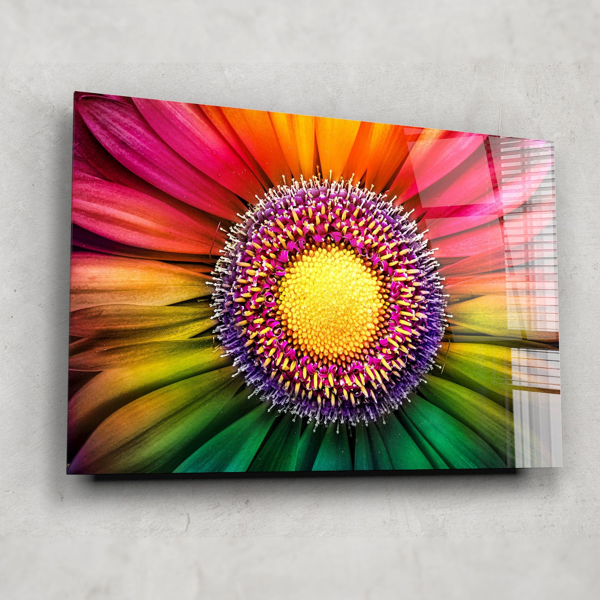 Artronauts Glass Print Gerbera Flower