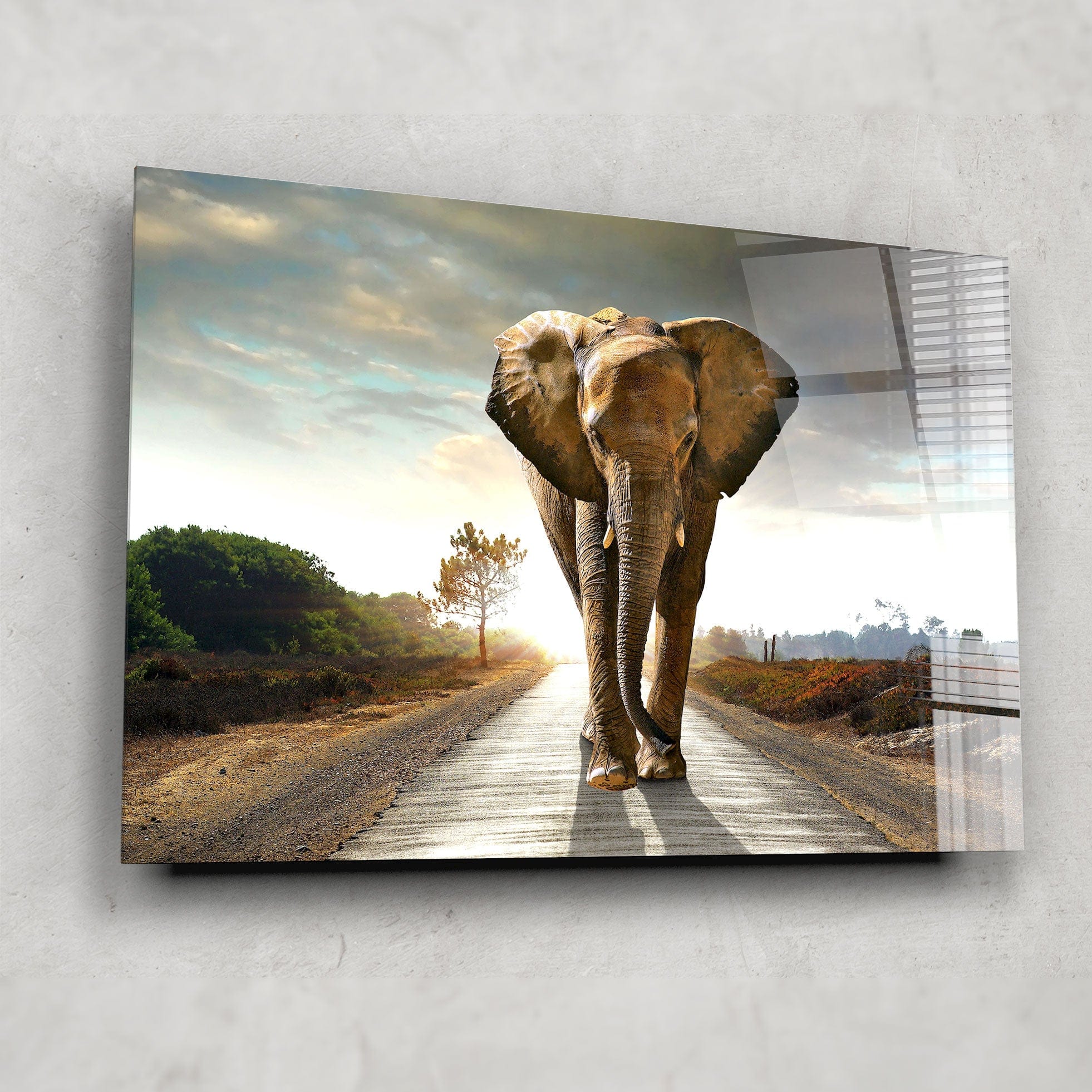 Artronauts Glass Print Lonely Elephant