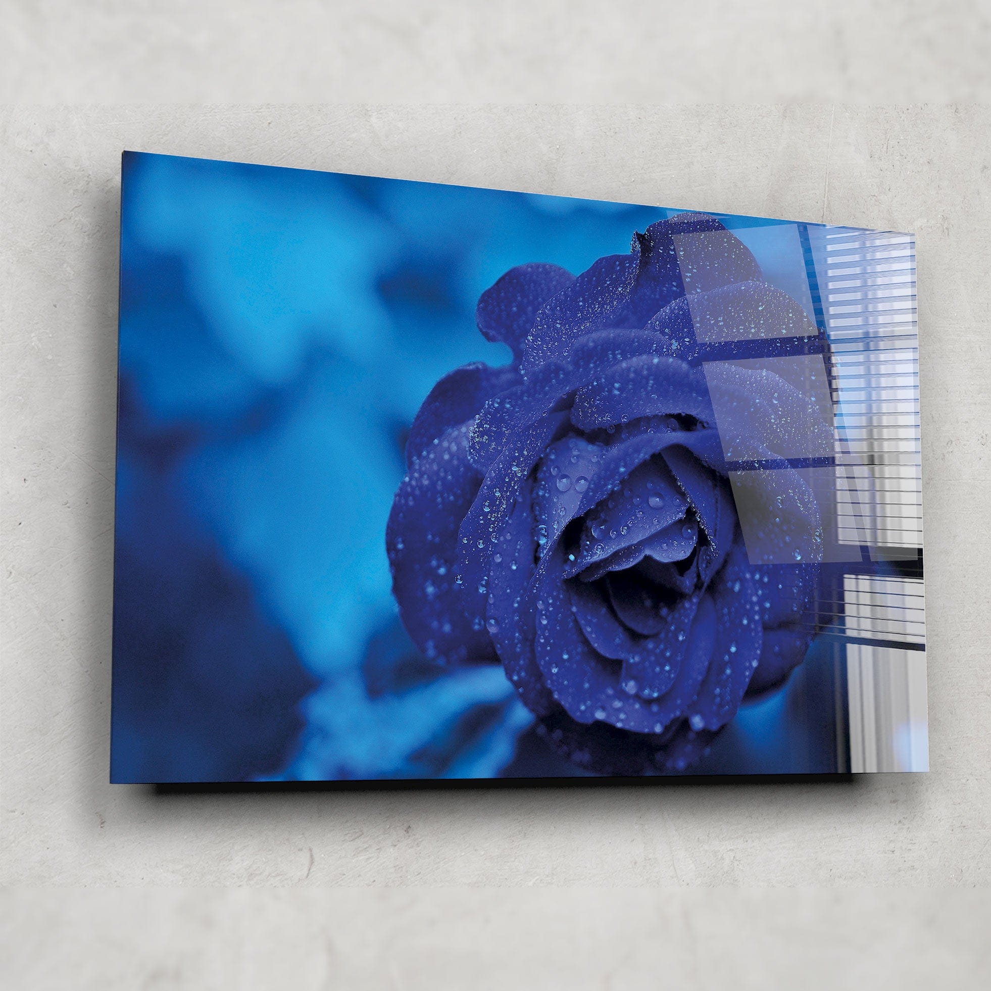 Artronauts Glass Print Cold Rose