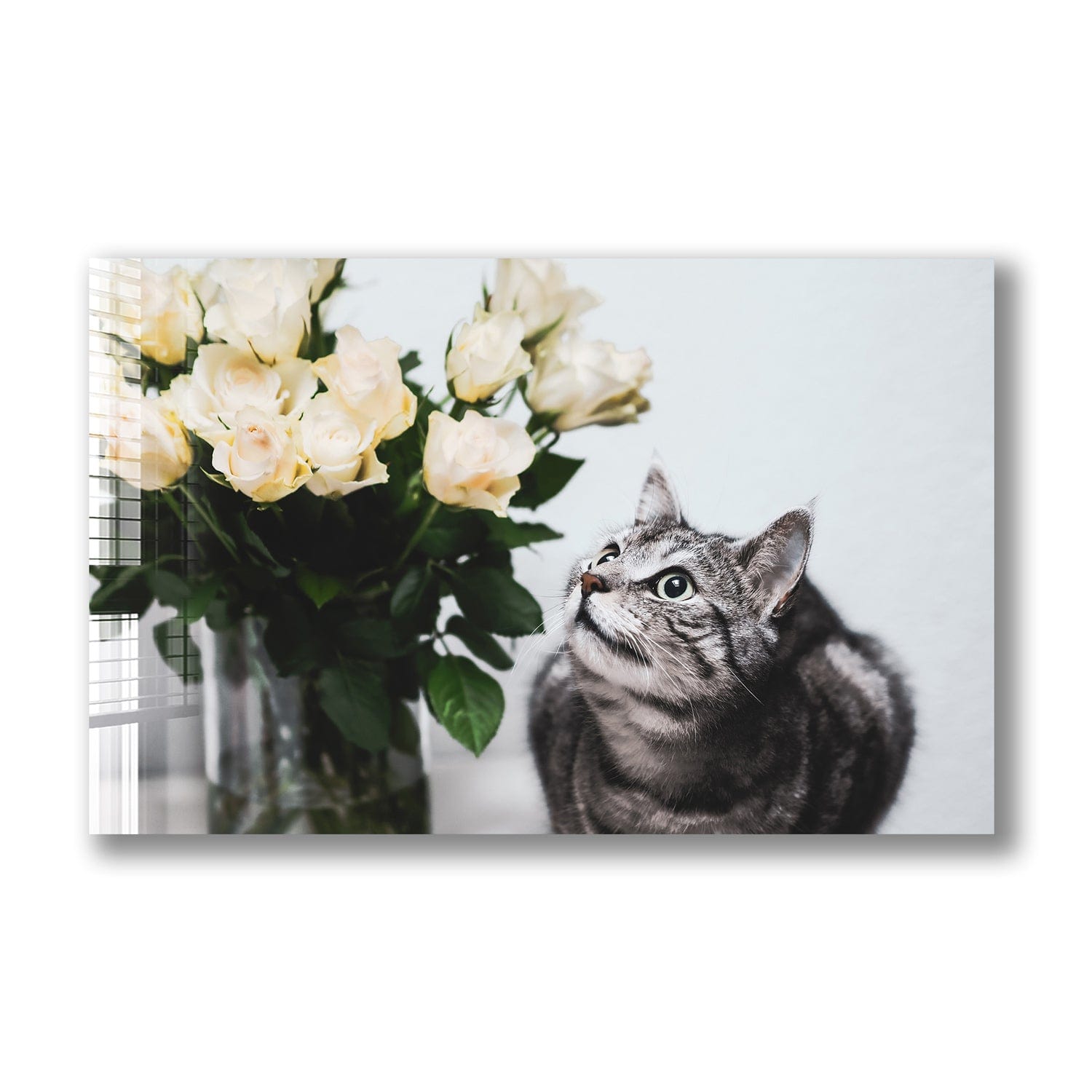 Artronauts Glass Print Romantic Cat