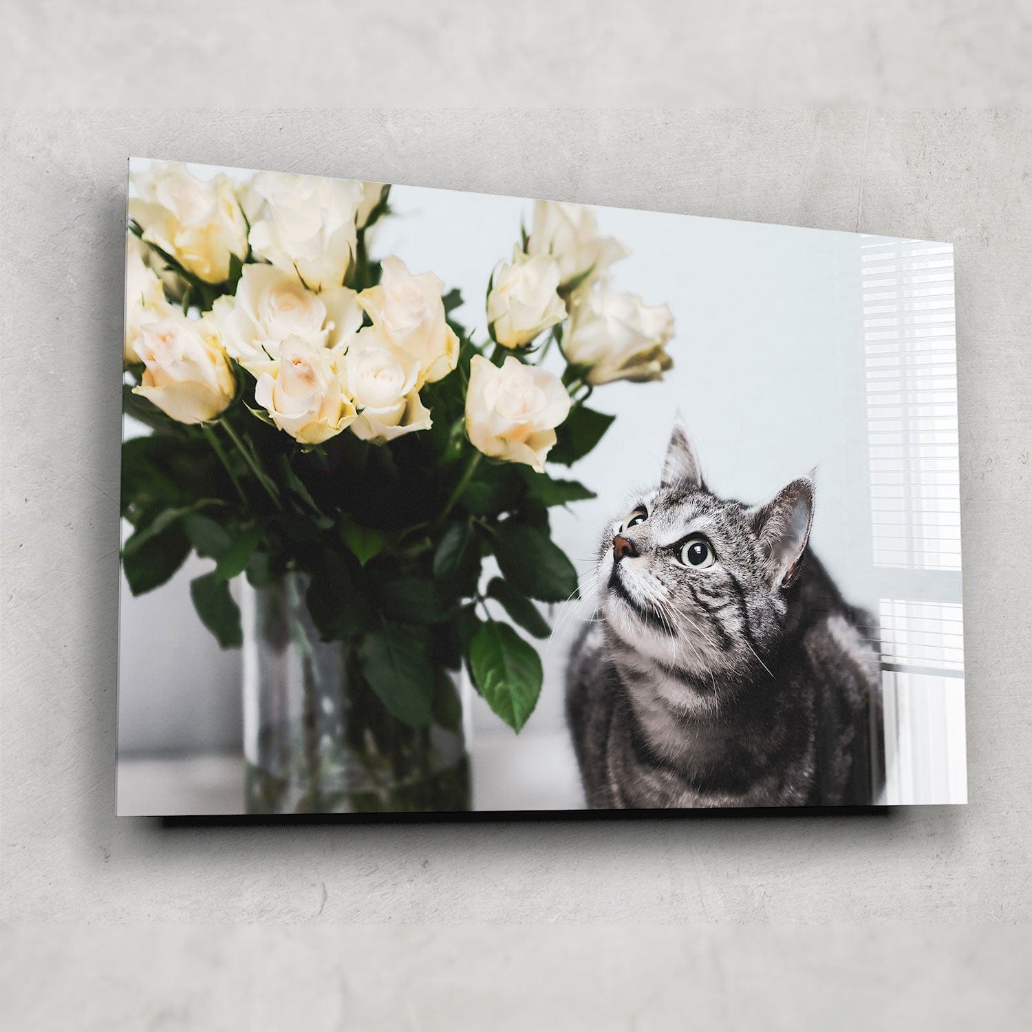 Artronauts Glass Print Romantic Cat