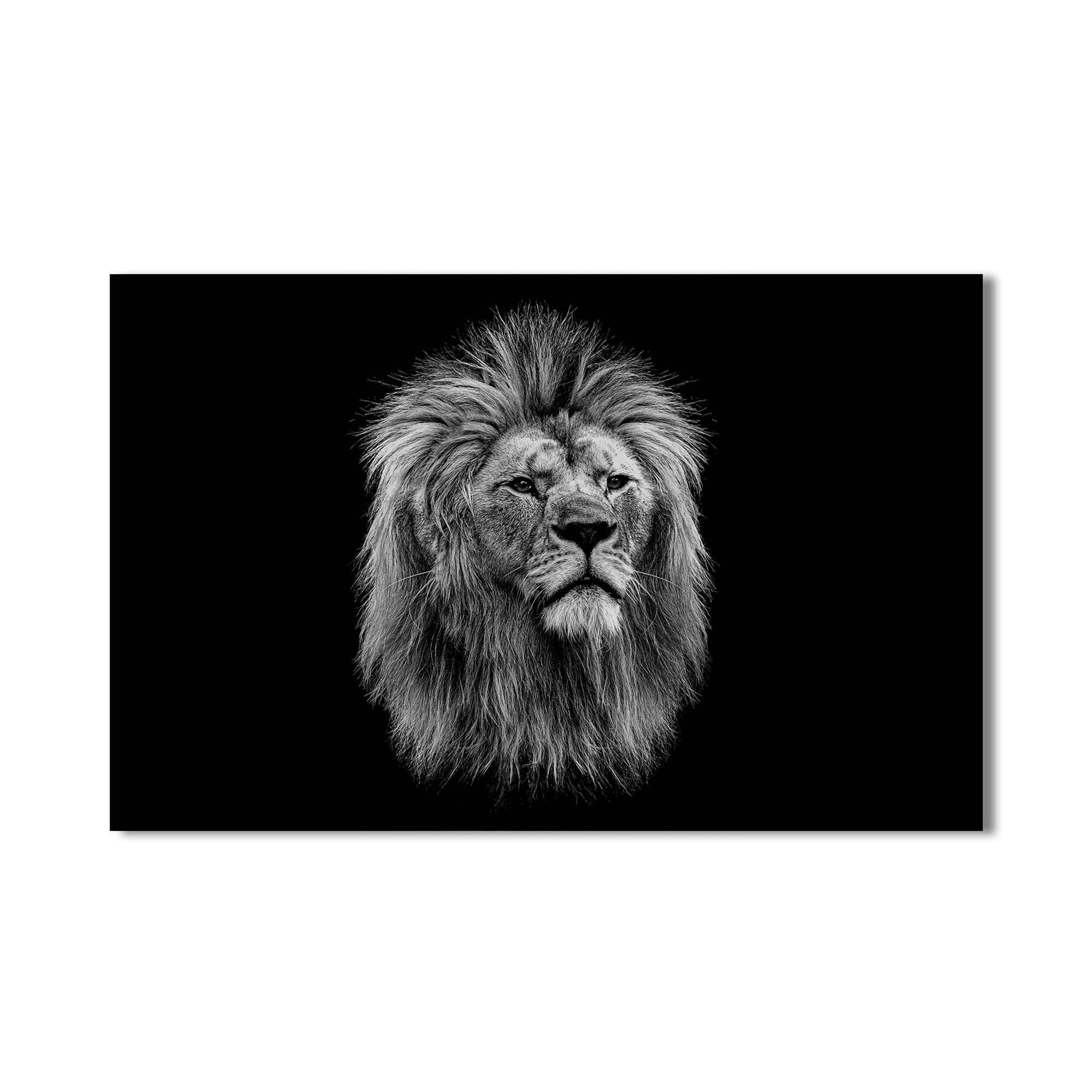 Artronauts Glass Print Noble Gaze Lion – Animal Tempered Glass Wall Art
