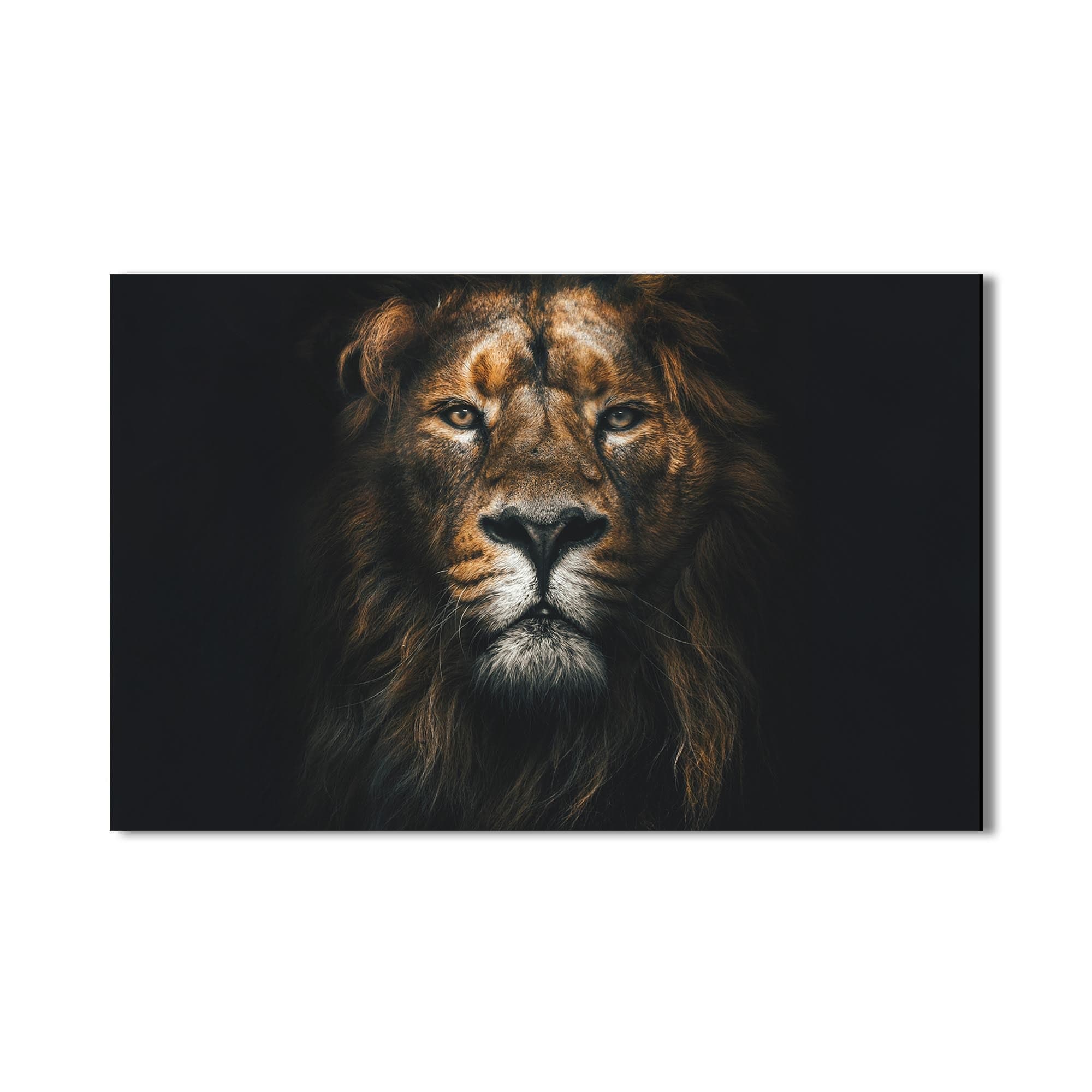 Artronauts Glass Print Regal Light Lion – Animal Tempered Glass Wall Art