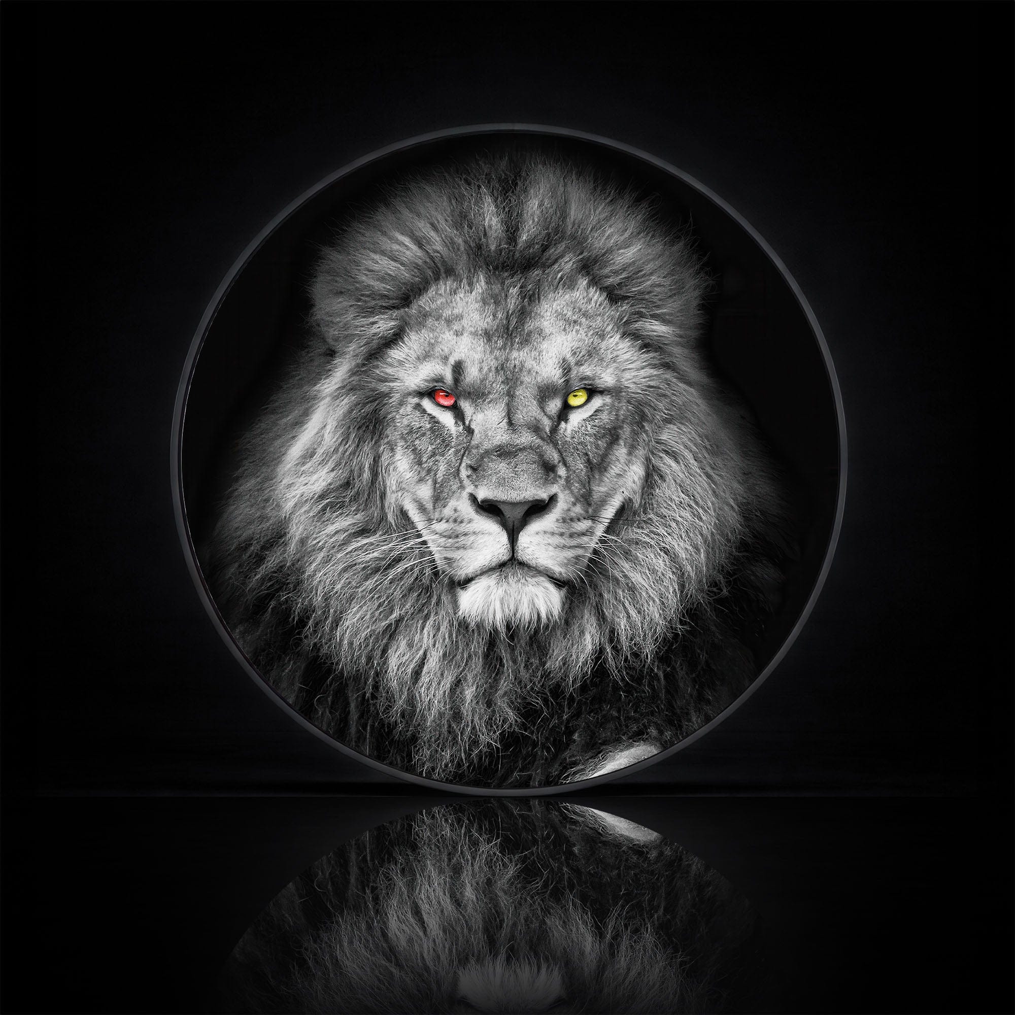 Artronauts Glass Print LION - Lumi™ LED Glass Wall Art