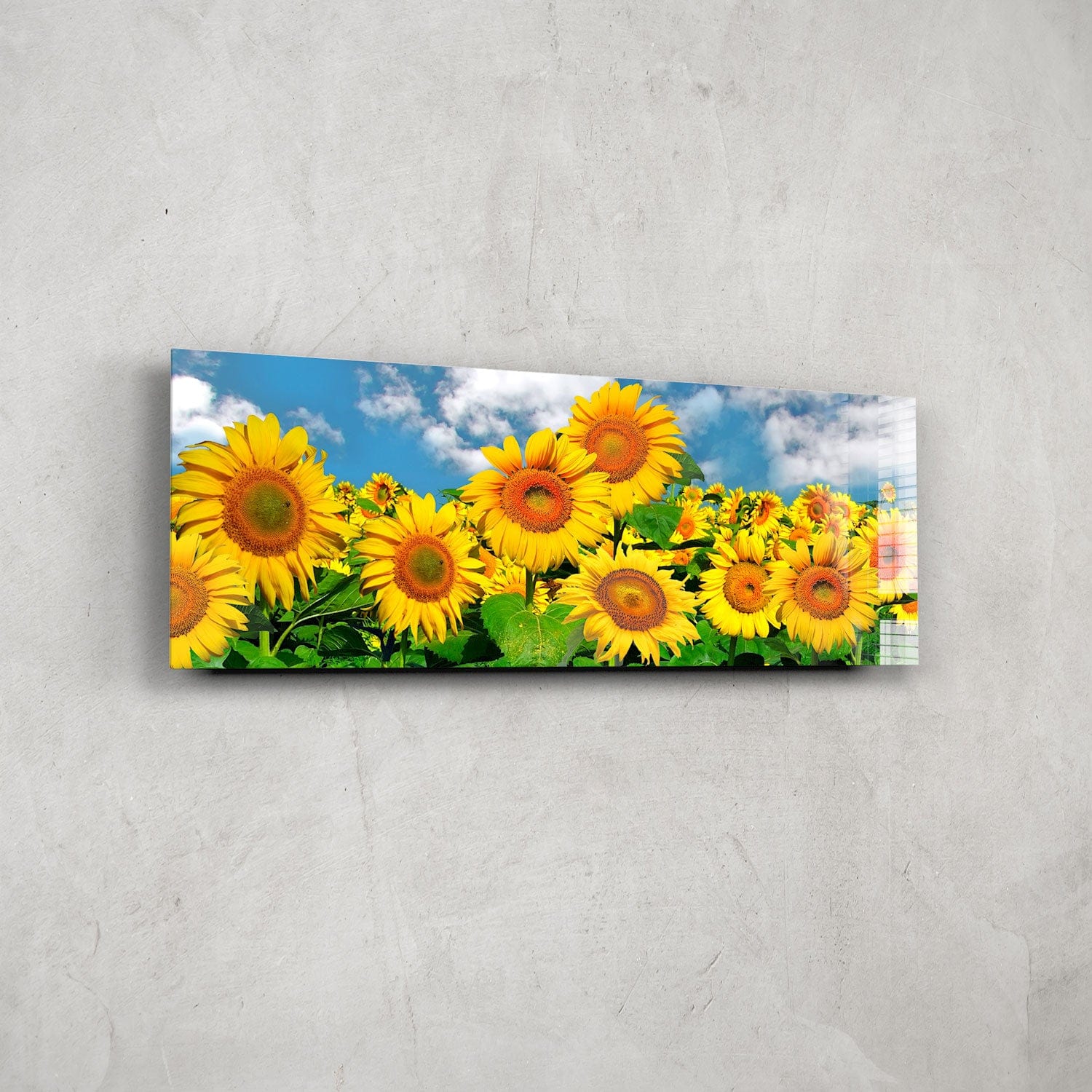 Artronauts Glass Print 92x36cm Happy Sunflowers - Panoramic
