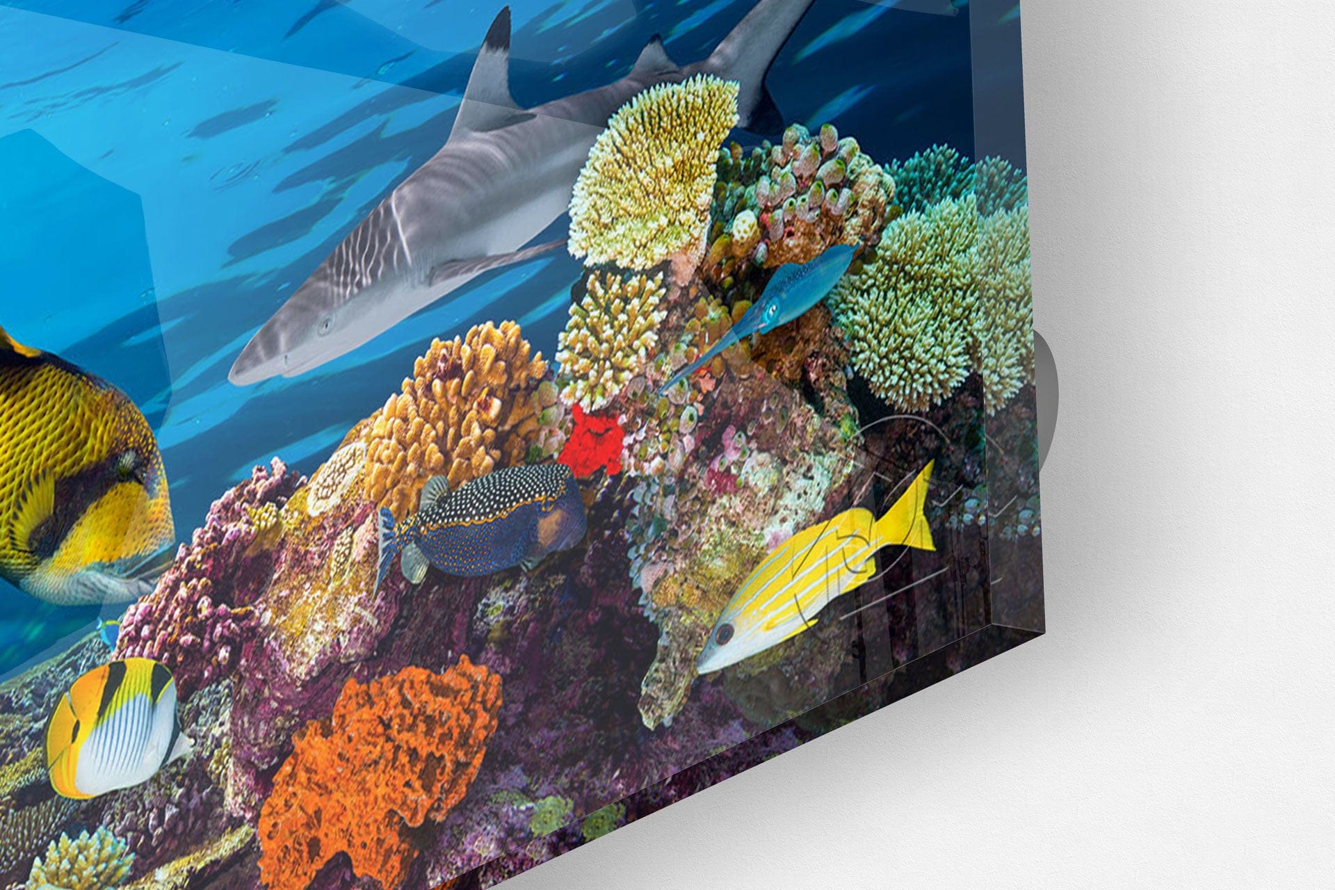 Artronauts Glass Print 92x36cm Aqua Panoramic Glass Wall Art