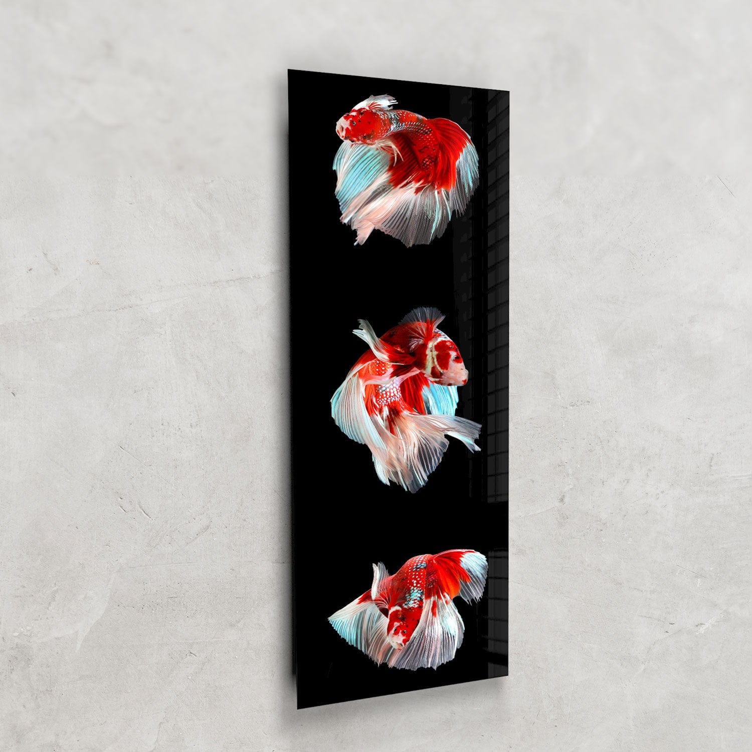 Artronauts Glass Print 92x36cm Trinity Betta Fishes - Panoramic