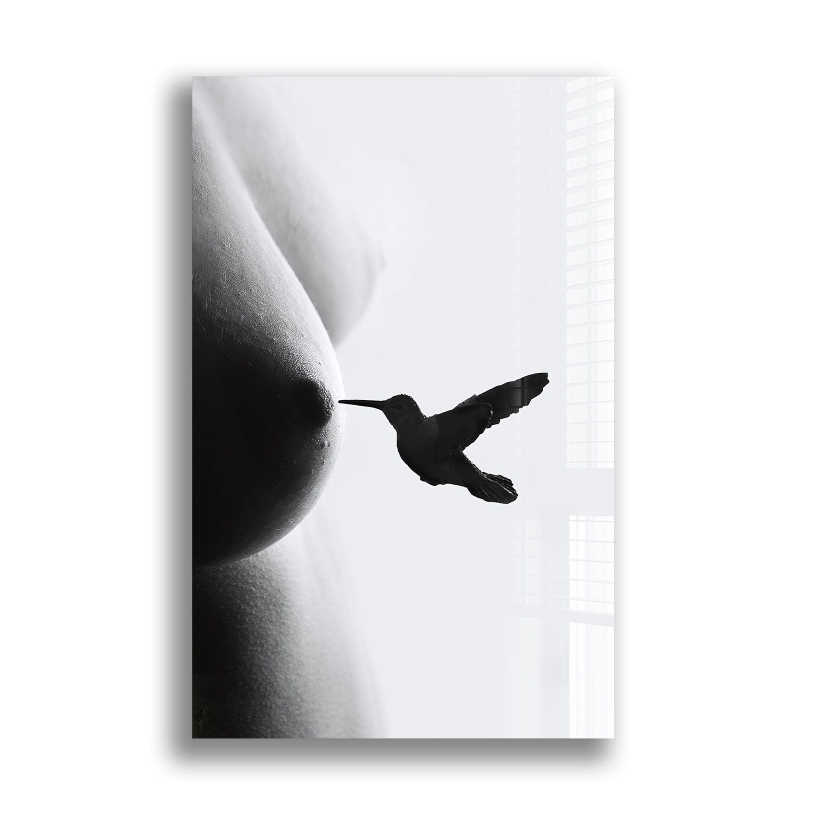 Artronauts Glass Print Nipplepecker