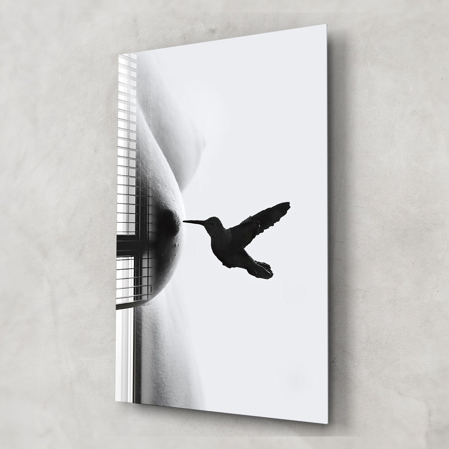 Artronauts Glass Print Nipplepecker