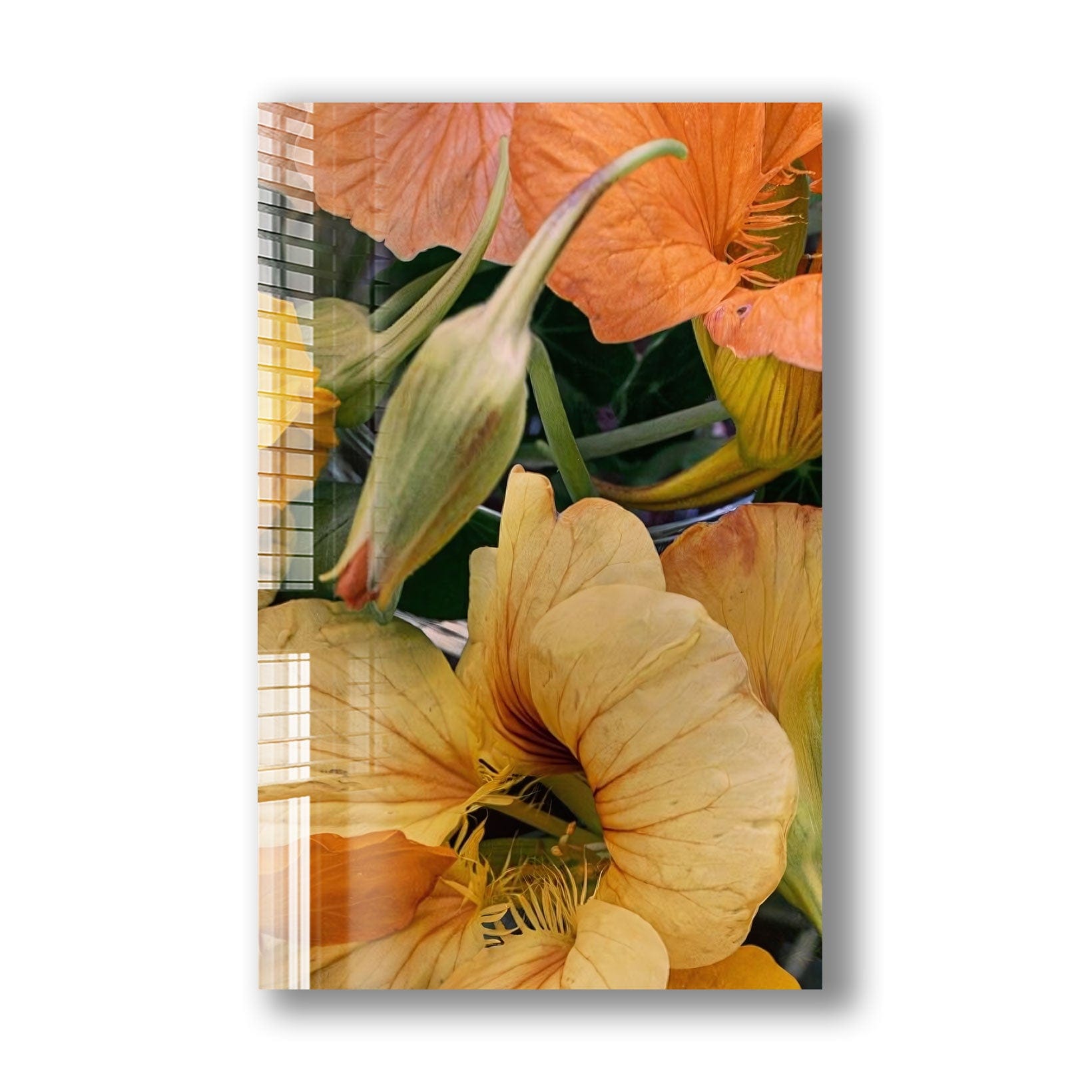 Artronauts Glass Print Courgette Flowers