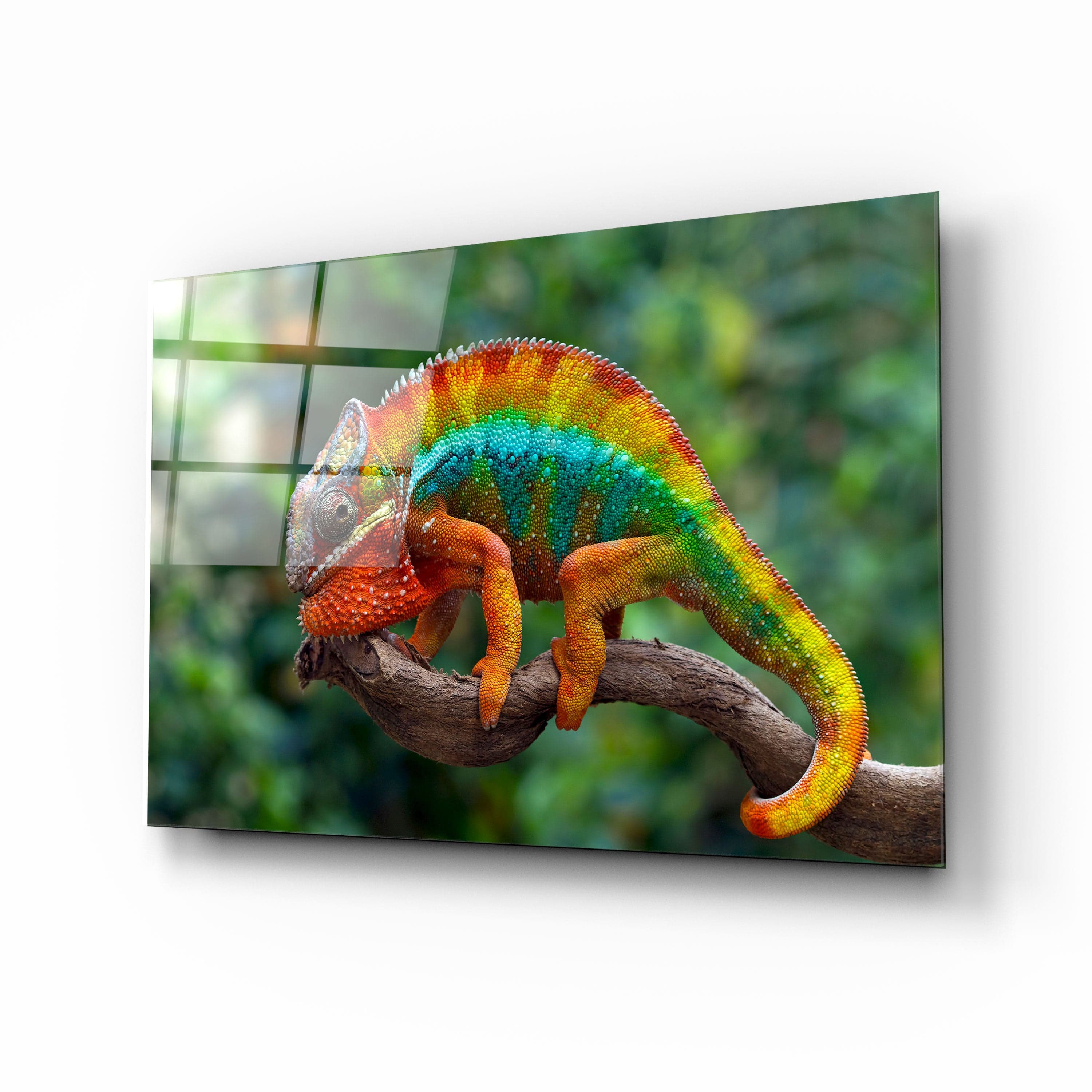 Artronauts Art Clearance T. Chameleon II