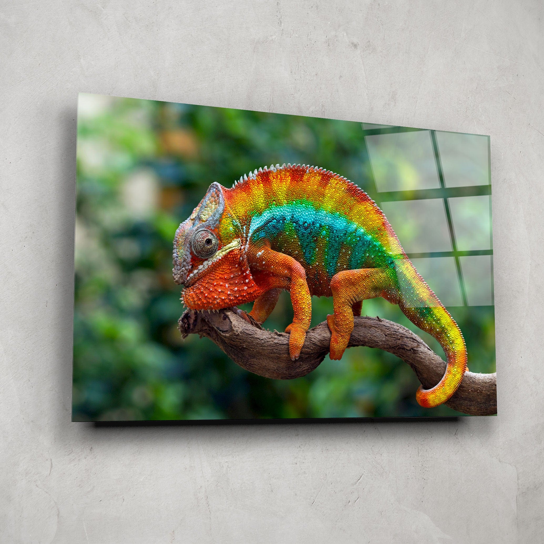 Artronauts Art Clearance T. Chameleon II