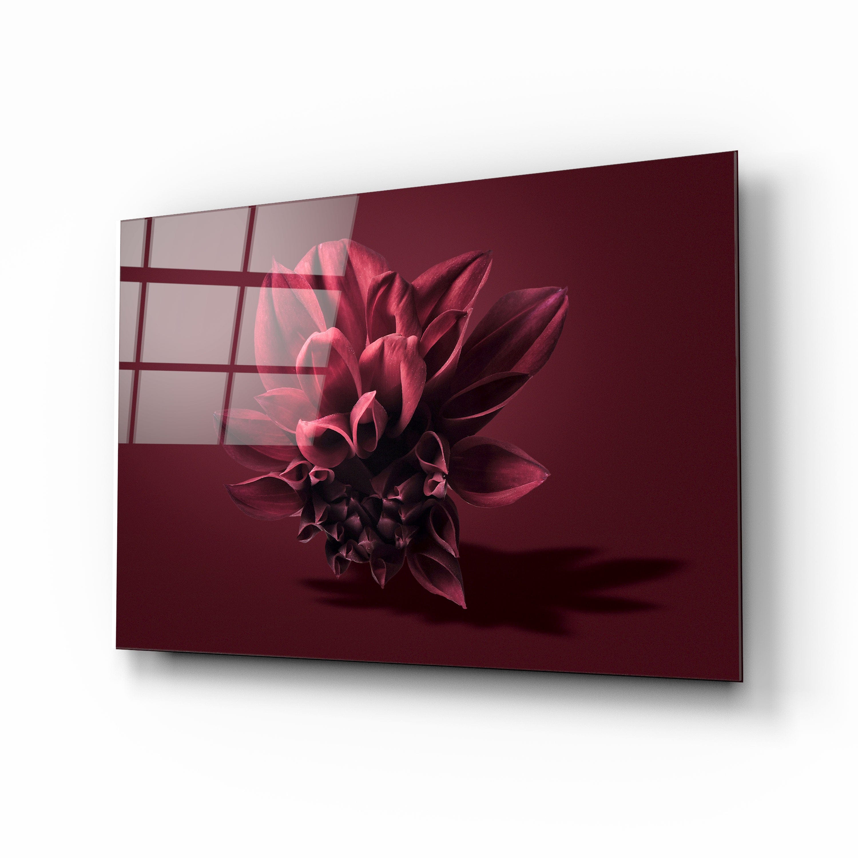 Artronauts Art Clearance T. Dahlia Flower II