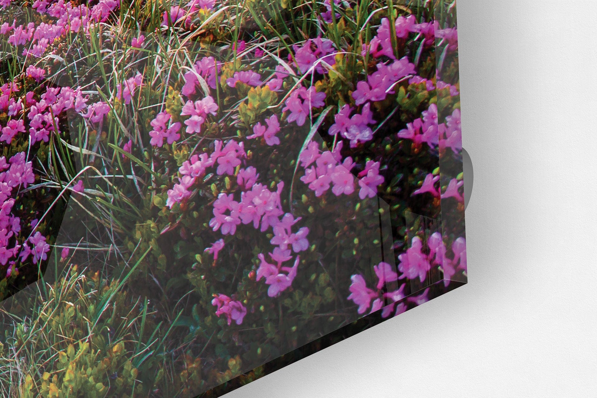 Artronauts Glass Print A Peaceful Place