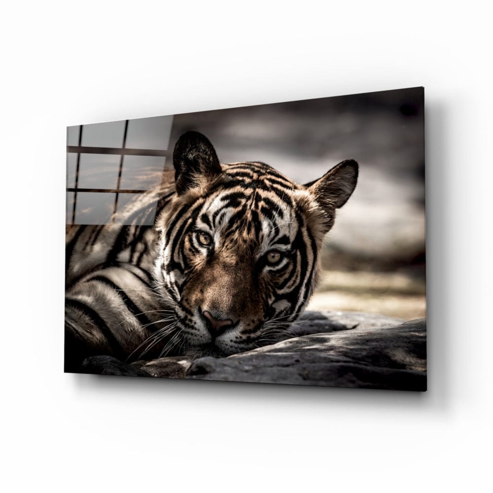 Artronauts Art Clearance T. The Tiger