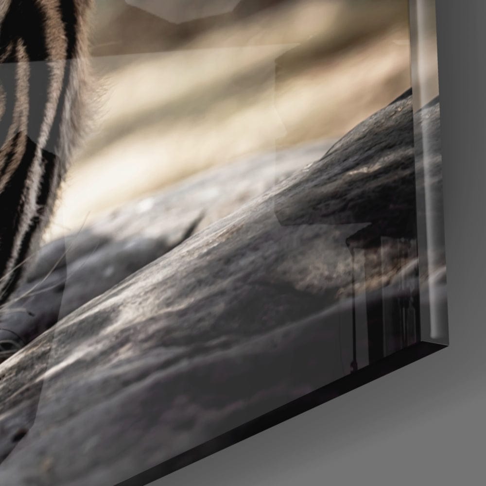 Artronauts Art Clearance T. The Tiger