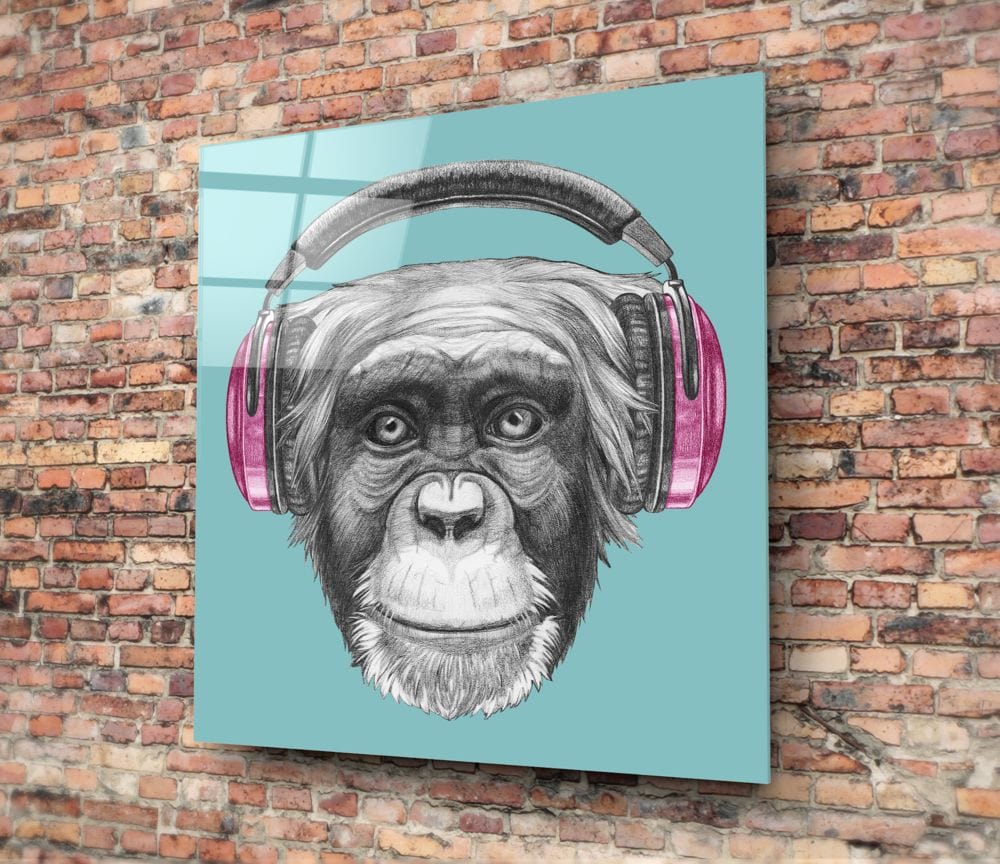 Artronauts Art Clearance T. Monkey with Headphone