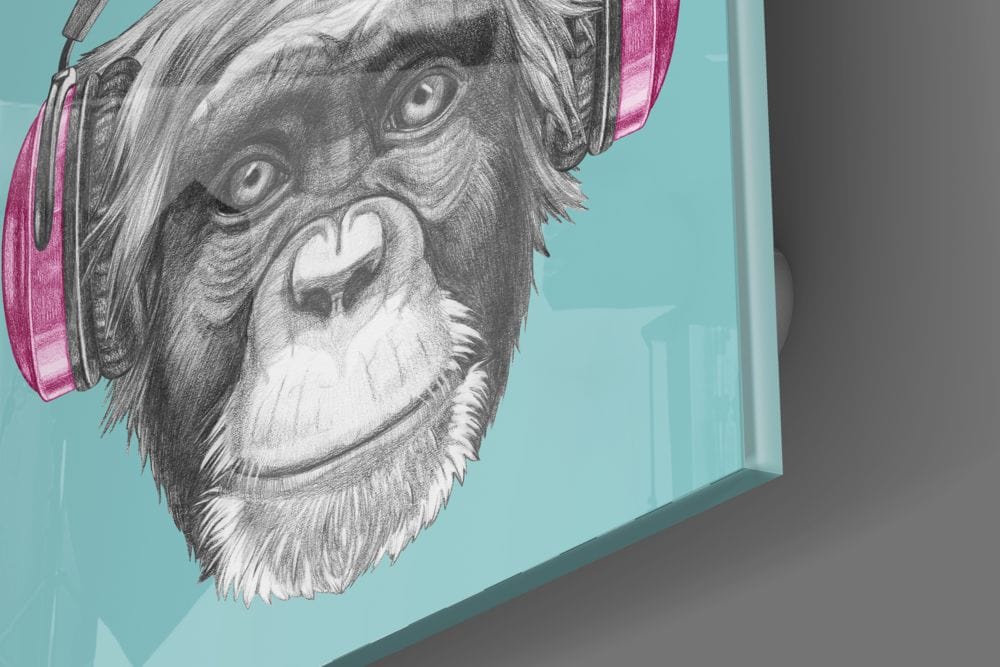 Artronauts Art Clearance T. Monkey with Headphone