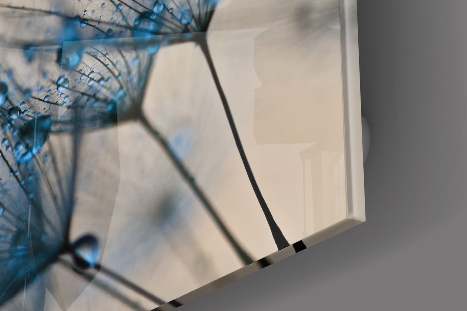 Artronauts Glass Print The Dandelion