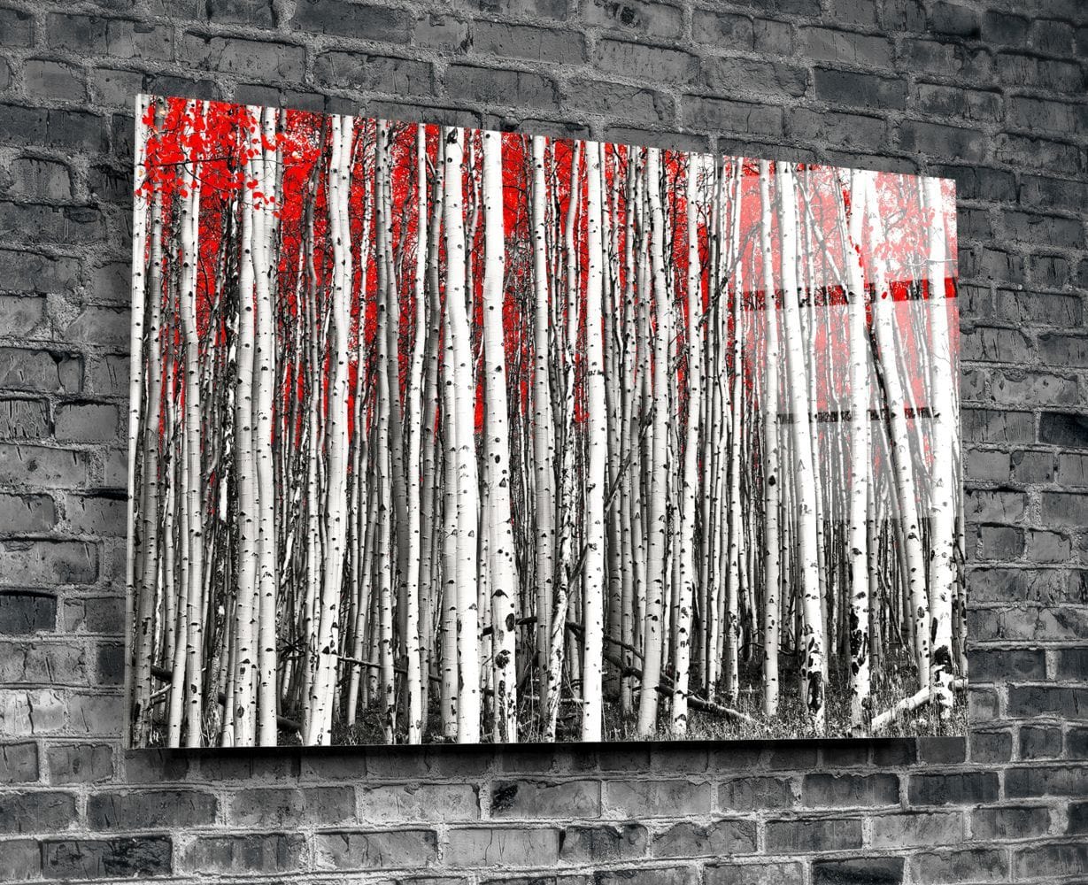 Artronauts Art Clearance T. Red Forest