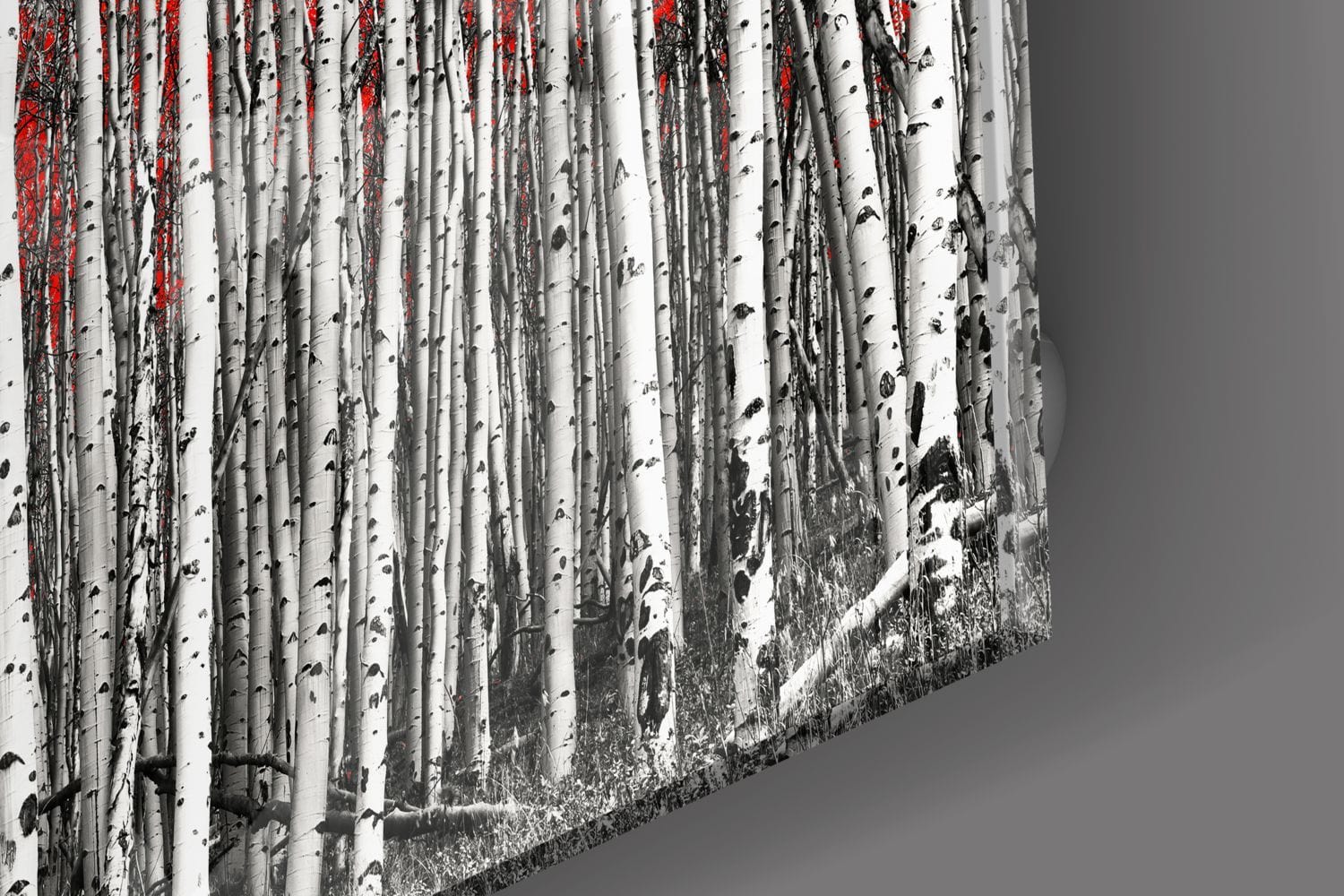 Artronauts Art Clearance T. Red Forest