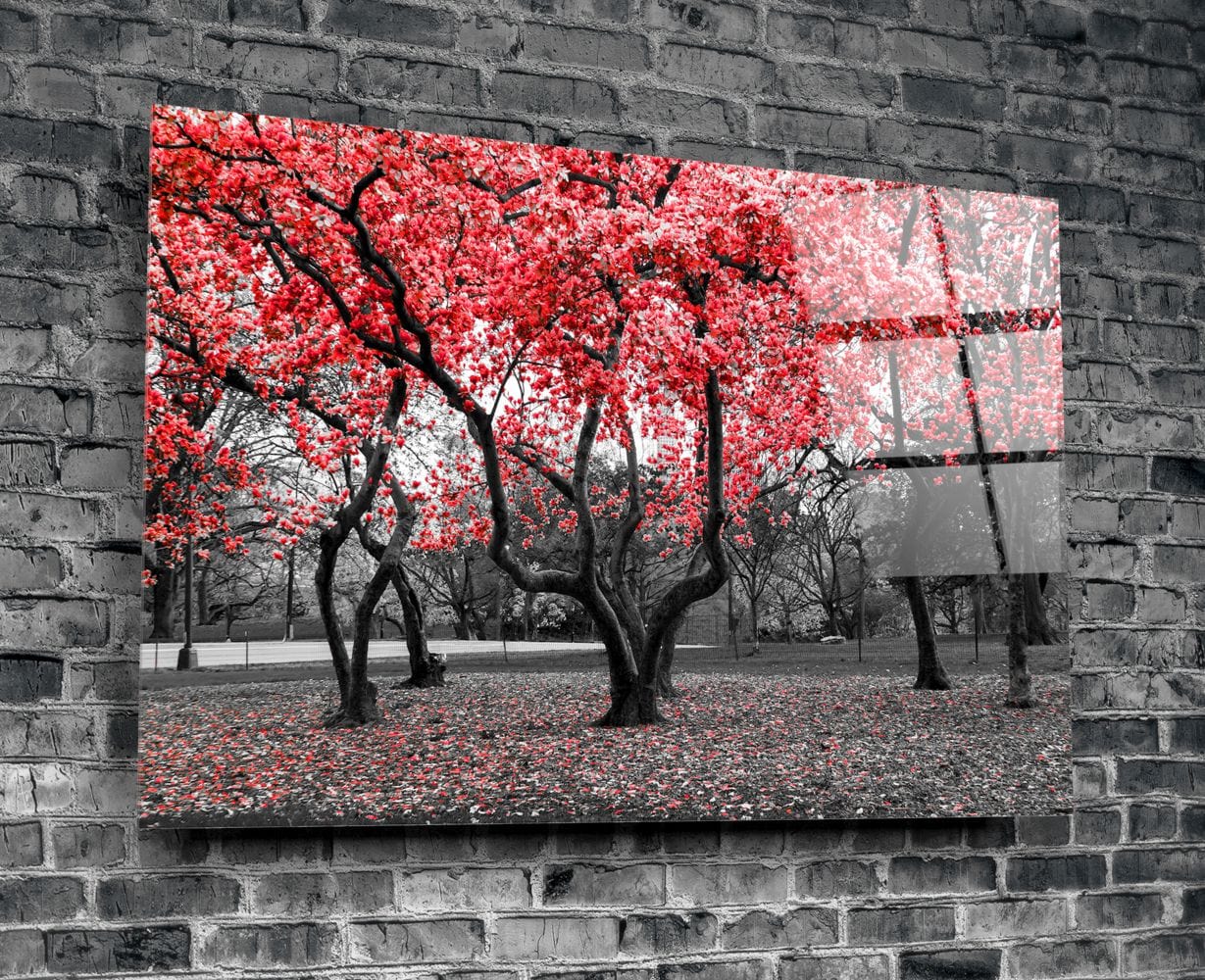 Artronauts Glass Print Red Leaves